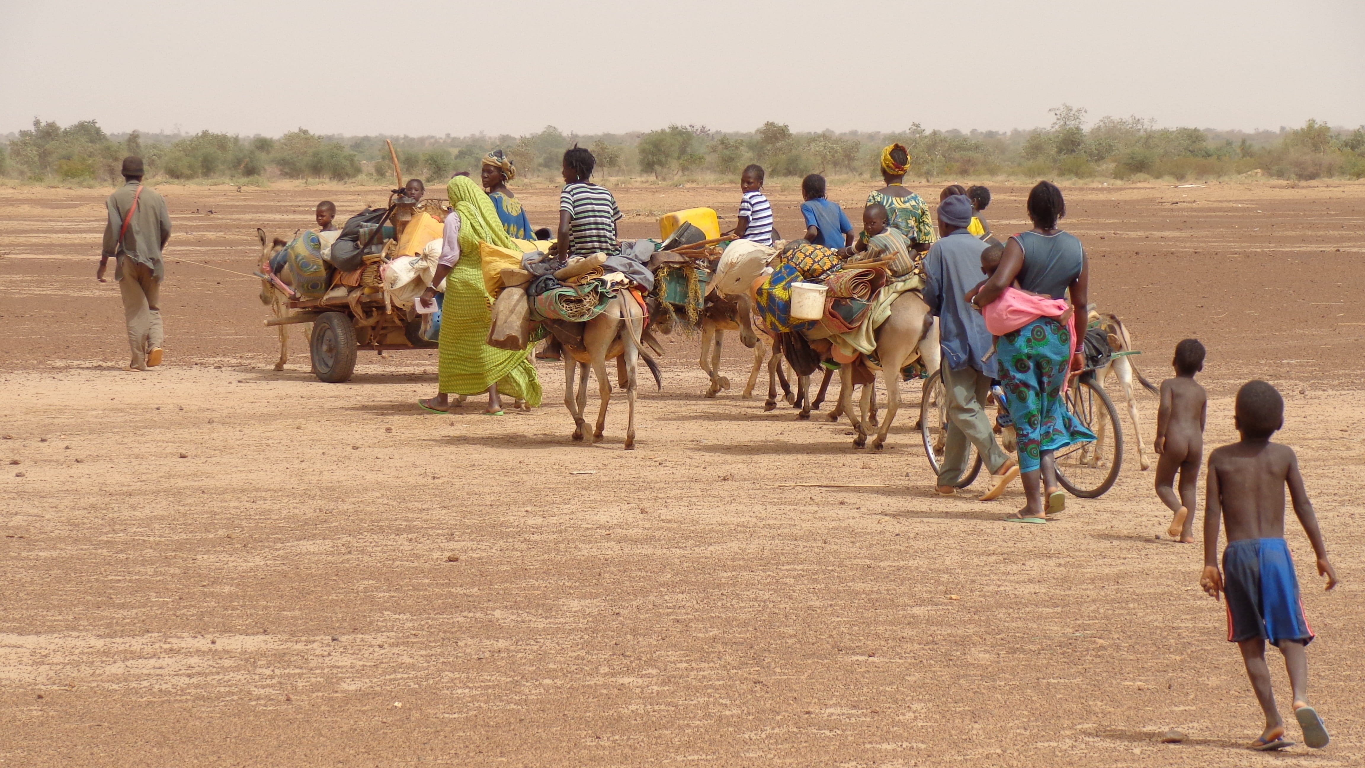 group, escape, men, crisis, immigrant, people, crowd, day, mammal, poverty, adult, group of people, camp, migration, domestic, poor, flee, working animal, HD Wallpaper