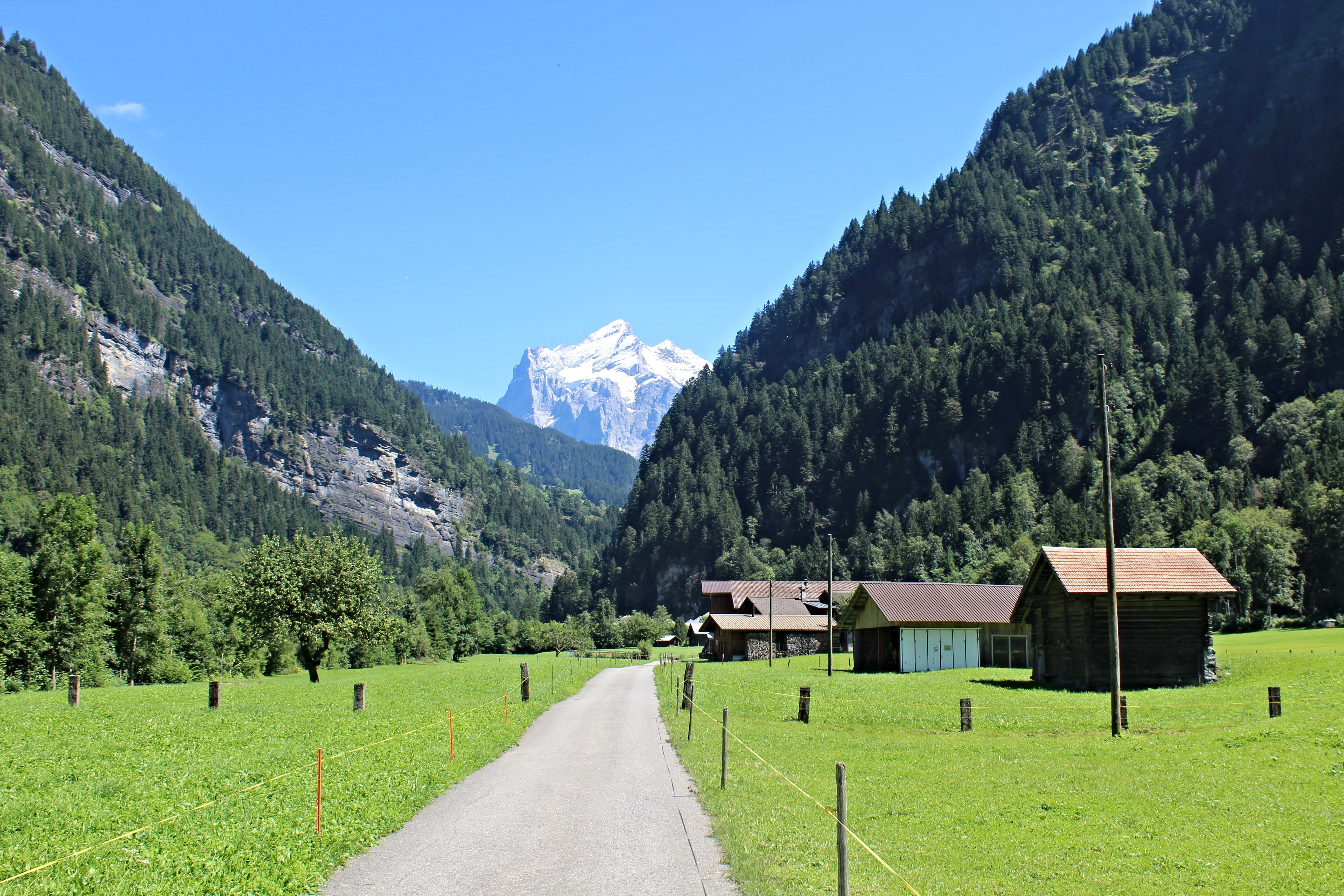 scenics, brown, photo, nature, european Alps, outdoors, houses, summer, Crouching, Mountain, beside, gray, road, 5K, landscape, Bernese Oberland, Switzerland, HD Wallpaper