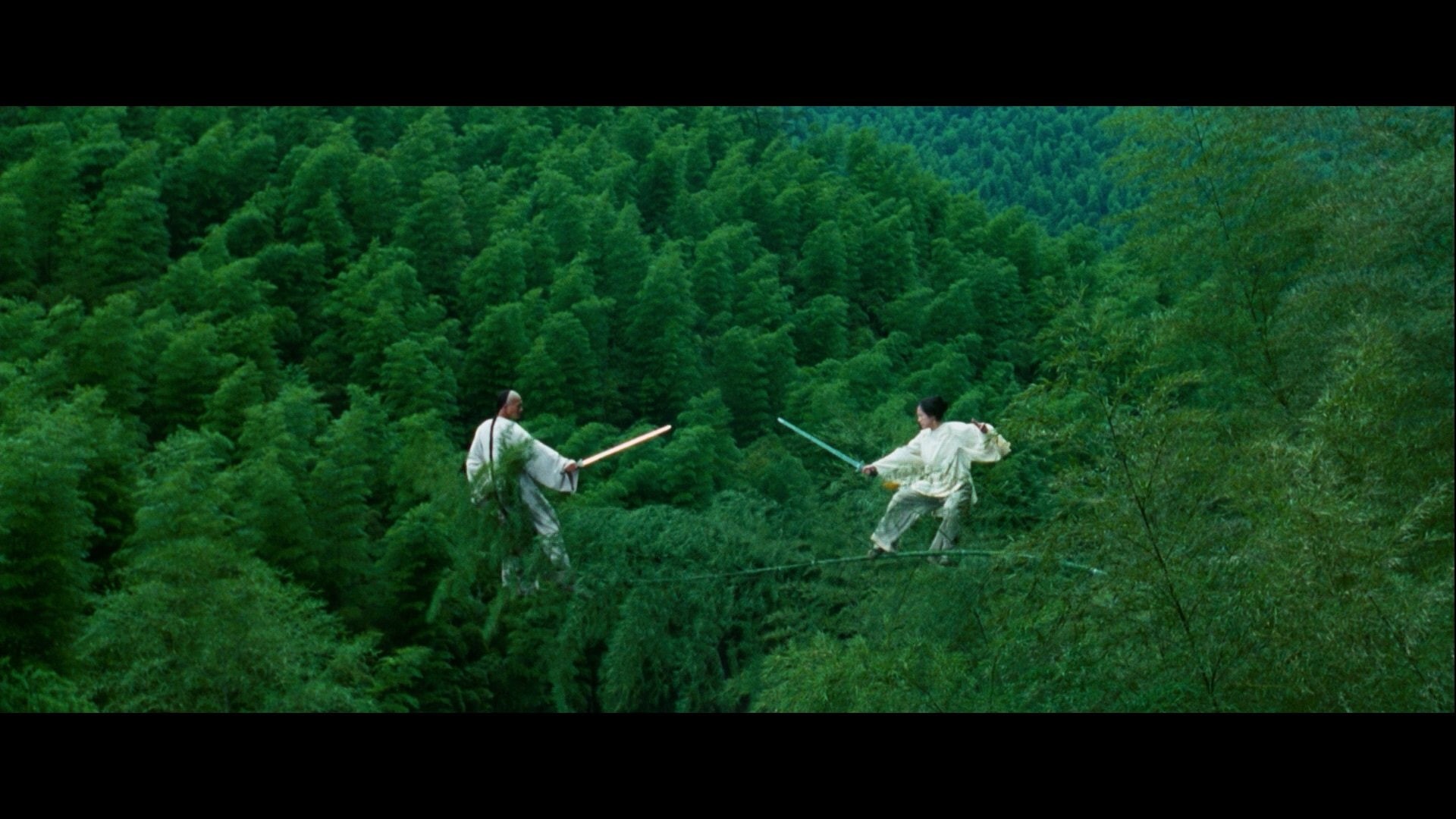arts, crouching, trees, 1080P, martial, hidden, screenshots, dragon, swords, zhang, ziyi, tiger, HD Wallpaper