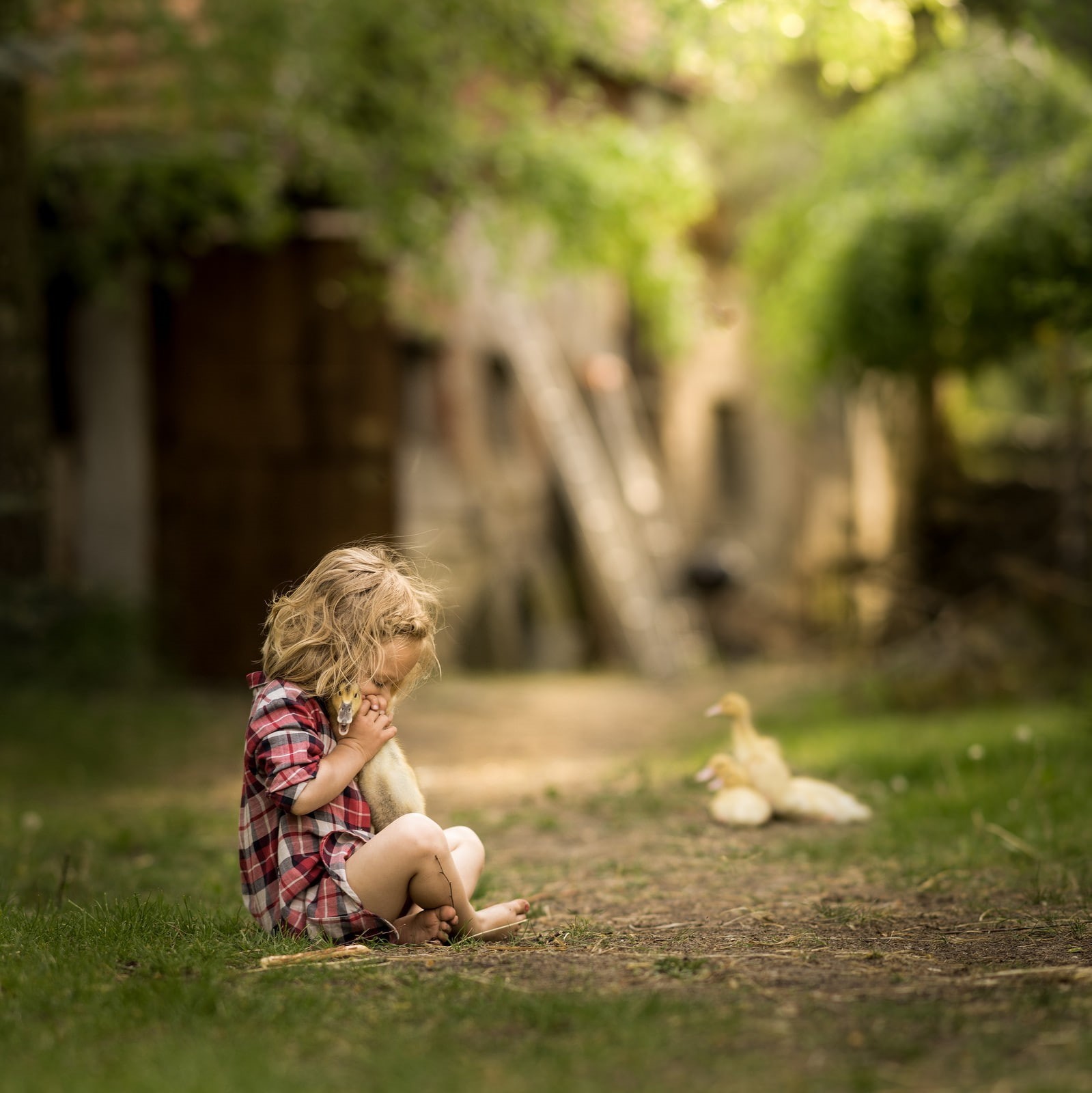 hair, 720P, blond hair, outdoors, sitting, path, duck, hairstyle, one person, childhood, love, offspring, emotion, baby, females, crouching, photography, Phone HD Wallpaper