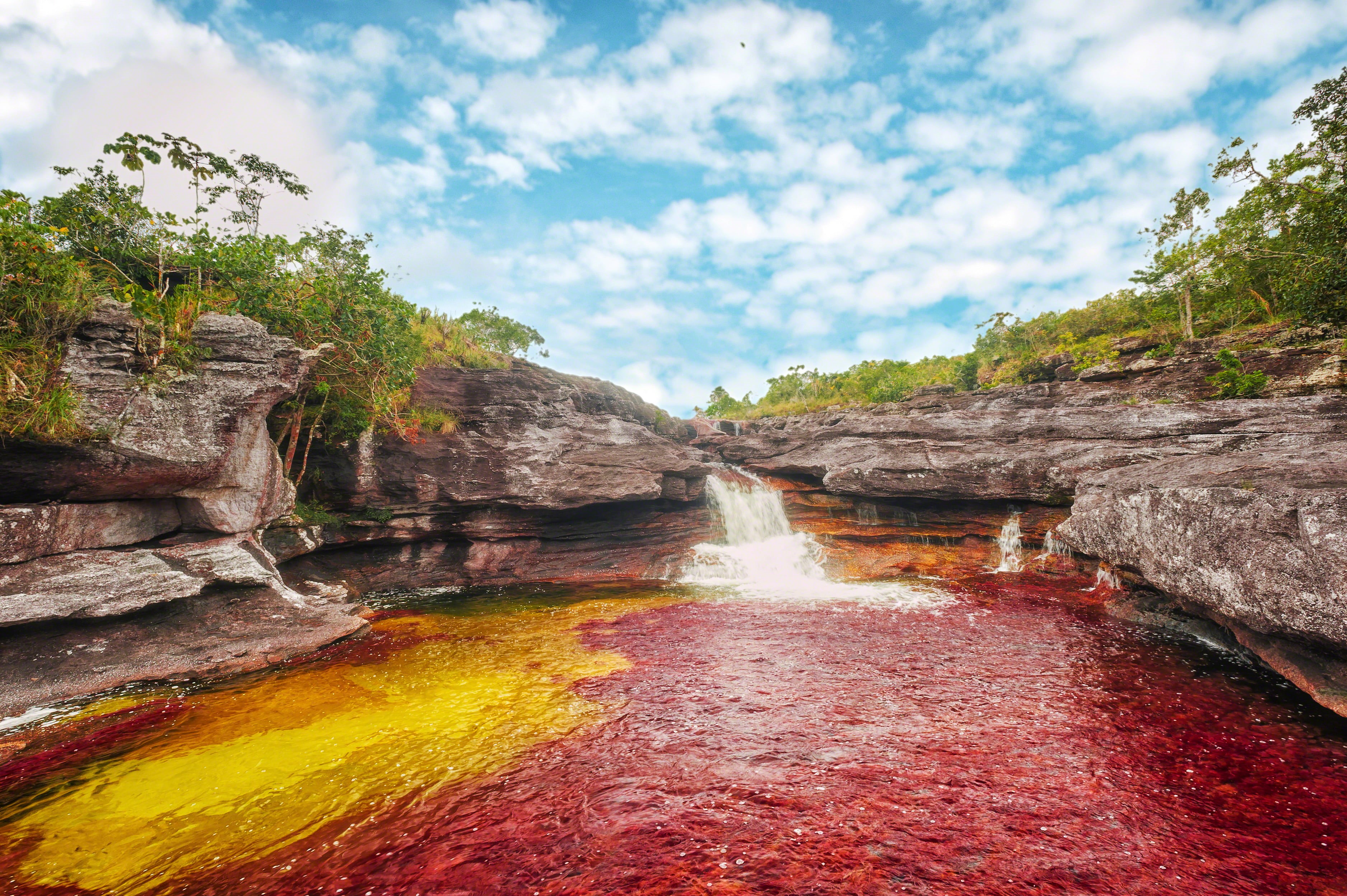 National Park Sierra de La Macarena, algae, Caño Cristales river, Colombia, 2K, National Park of Sierra de la Macarena, Meta, HD Wallpaper