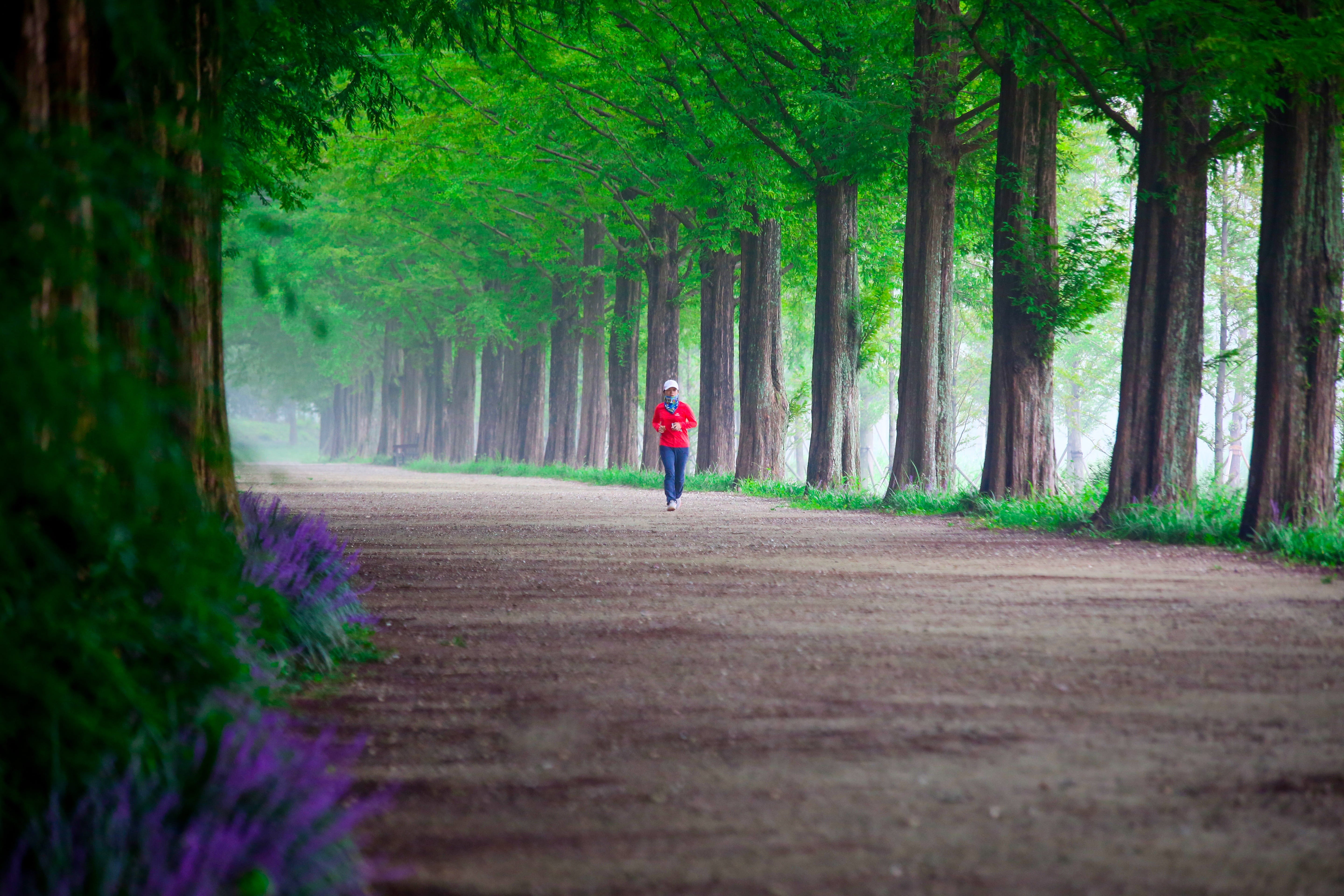 growth, nature, full length, sidewalk, one person, 5K, outdoors, meta information of  win, wood, leisure activity, lifestyles, direction, walk, real people, HD Wallpaper