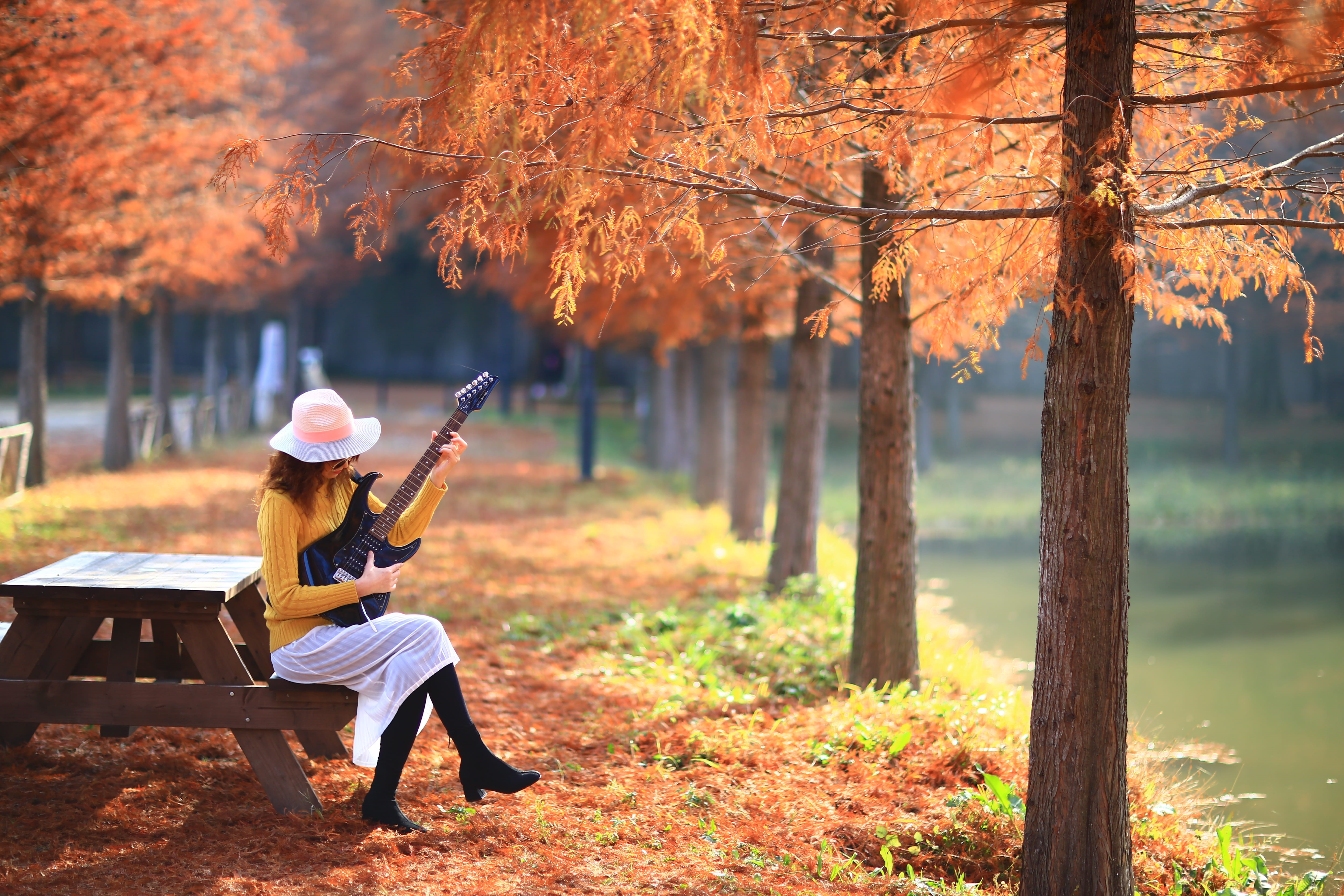 instrument, forest, outdoors, plant, sitting, land, orange color, art, woman, paints, damyang, republic of korea, leisure activity, seat, plant part, cap, HD Wallpaper