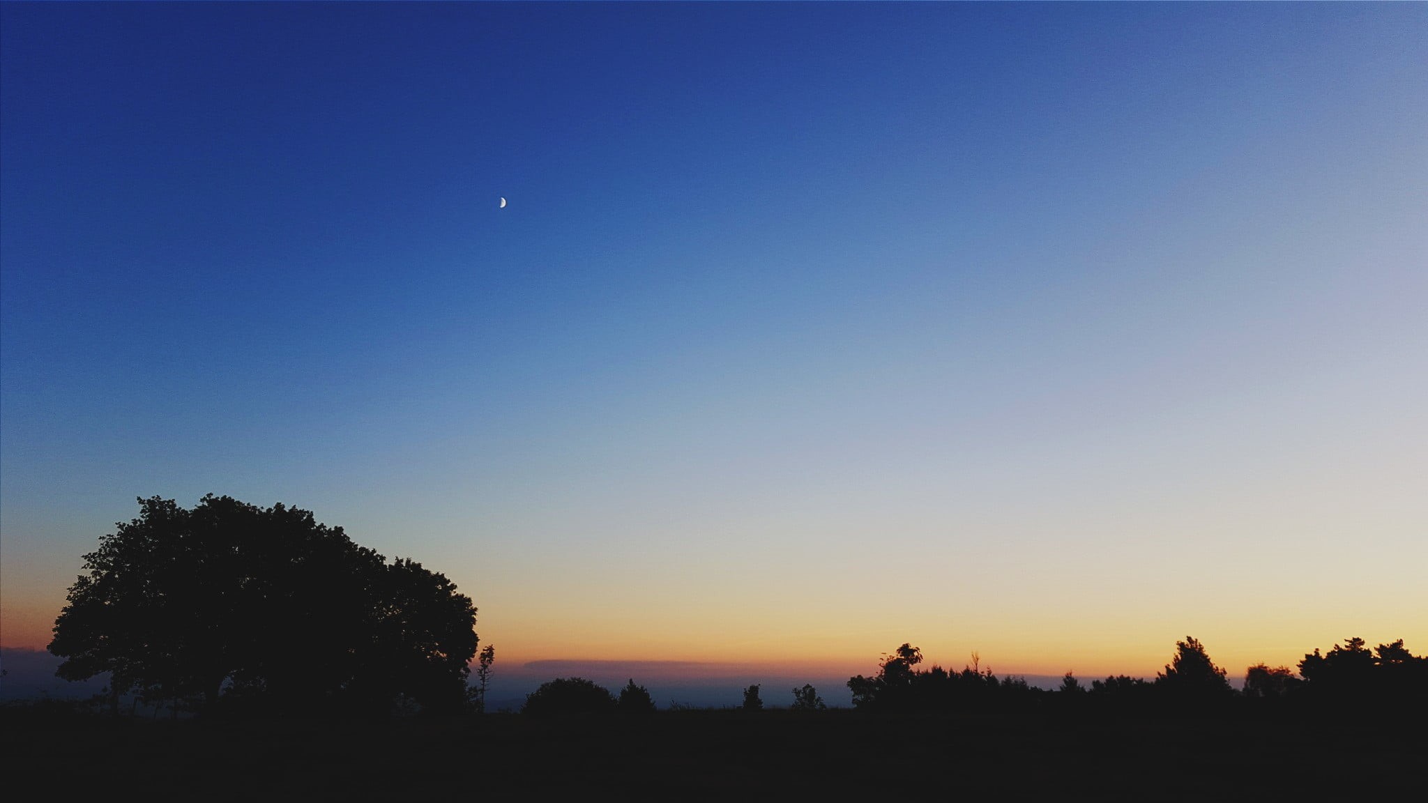 blue, copy space, computer, tranquility, sky, plant, astronomy, photography, flat, sunset, Moon, no people, silhouette, monitor, 1080P, outdoors, growth, HD Wallpaper