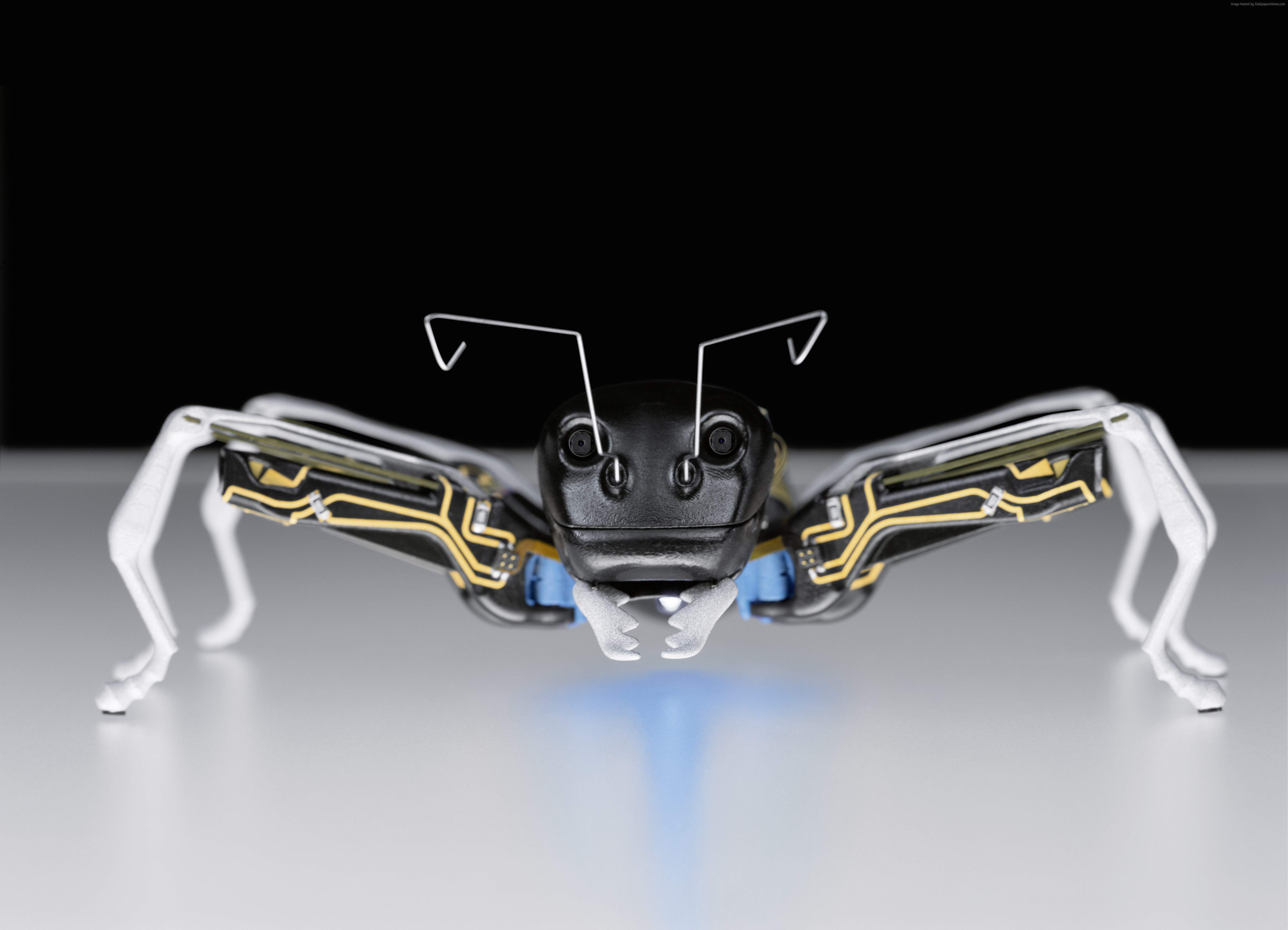 Bionic Learning Network, 5K, Hi-Tech News of 2015., Festo, BionicAnts, HD Wallpaper