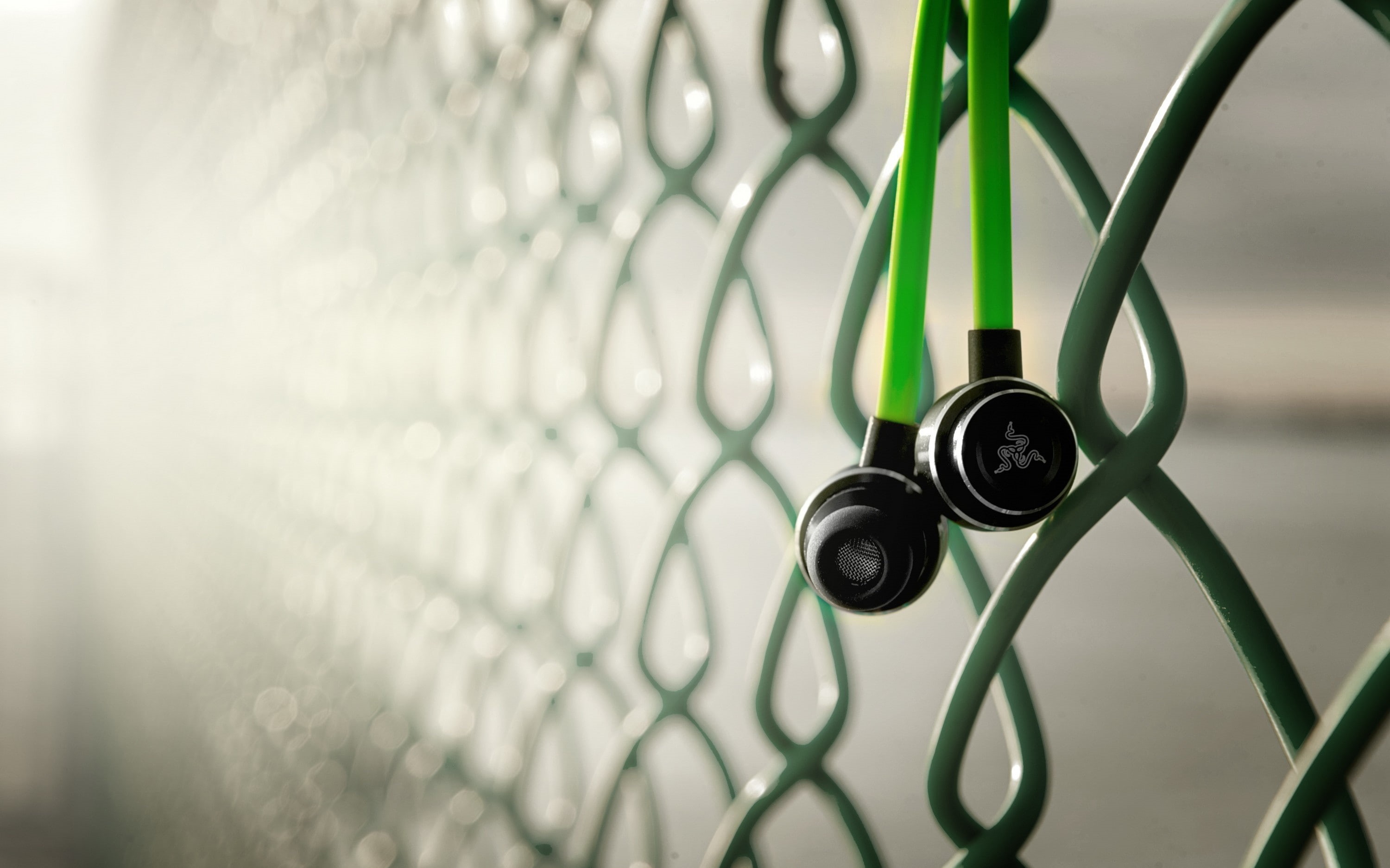 company, music, Hi-Tech, Razer Adaro, green, fence, technology, photography, Razer, headsets, macro, blurred, 2K, depth of field, HD Wallpaper