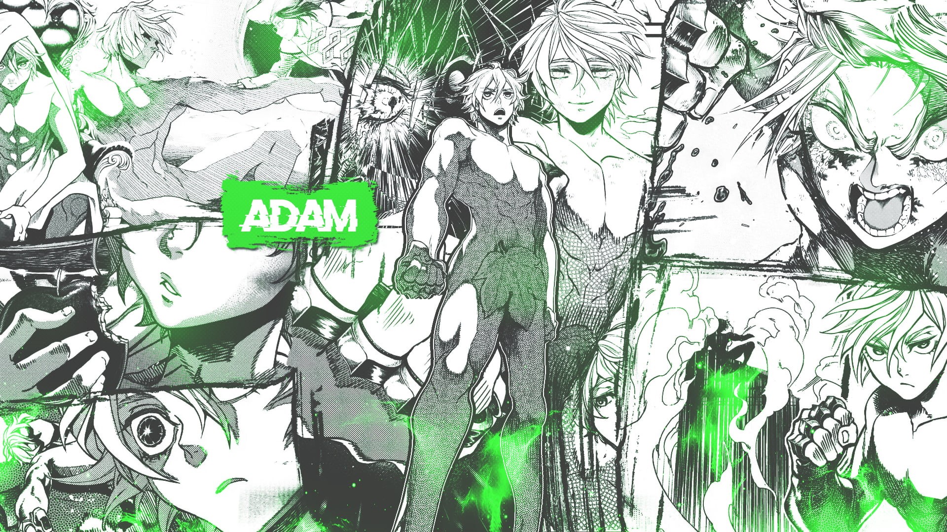 1080P, Adam, shuumatsu no valkyrie, HD Wallpaper