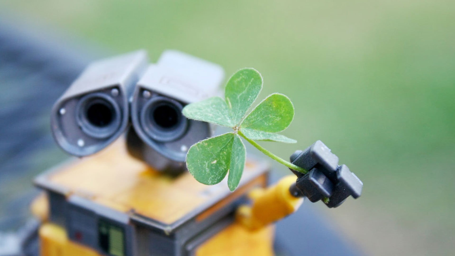 growth, robot, technology, close-up, Shamrock, focus on foreground, clover, beauty in nature, e, selective focus, no people, plant part, food, food and drink, HD Wallpaper