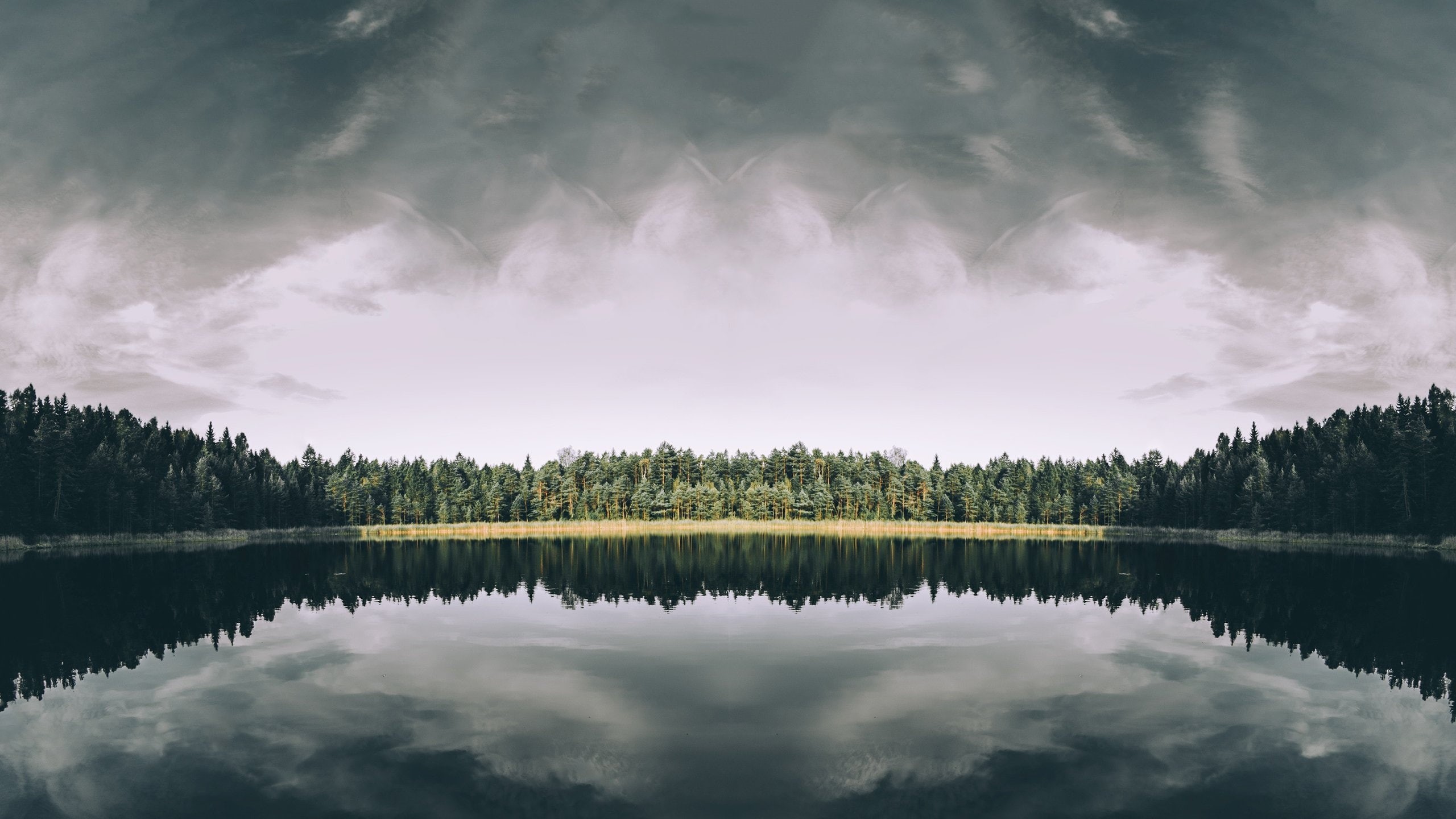 art, px, wars, games, hd, HORIZON, x, video, 2560x1440 px, lake, Landscape, 2K, guild, forest, HD Wallpaper
