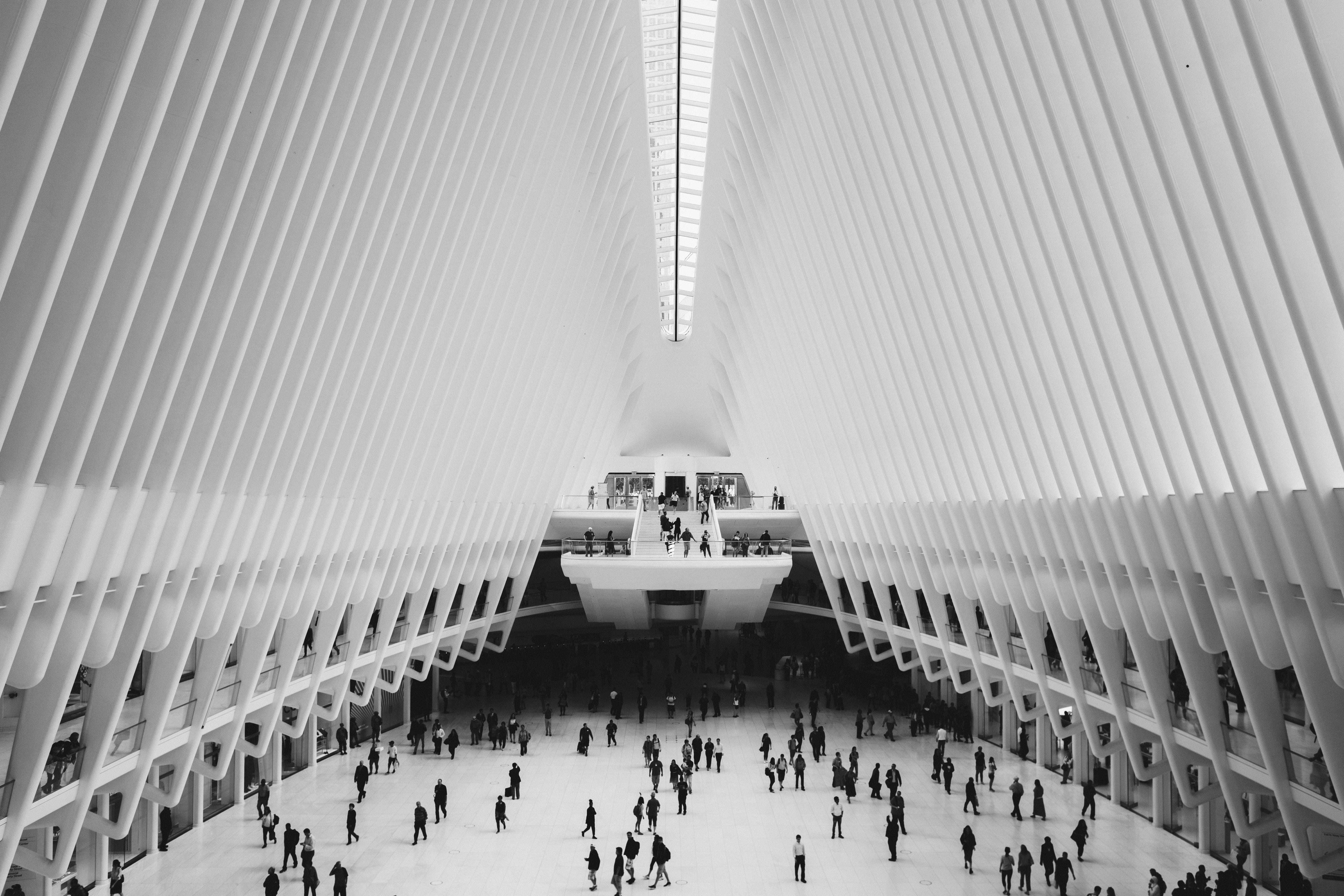 ceiling, large group of people, leisure activity, motion, brookfield place, day, lifestyles, oculus, city, black and white, new york, united states, modern, HD Wallpaper