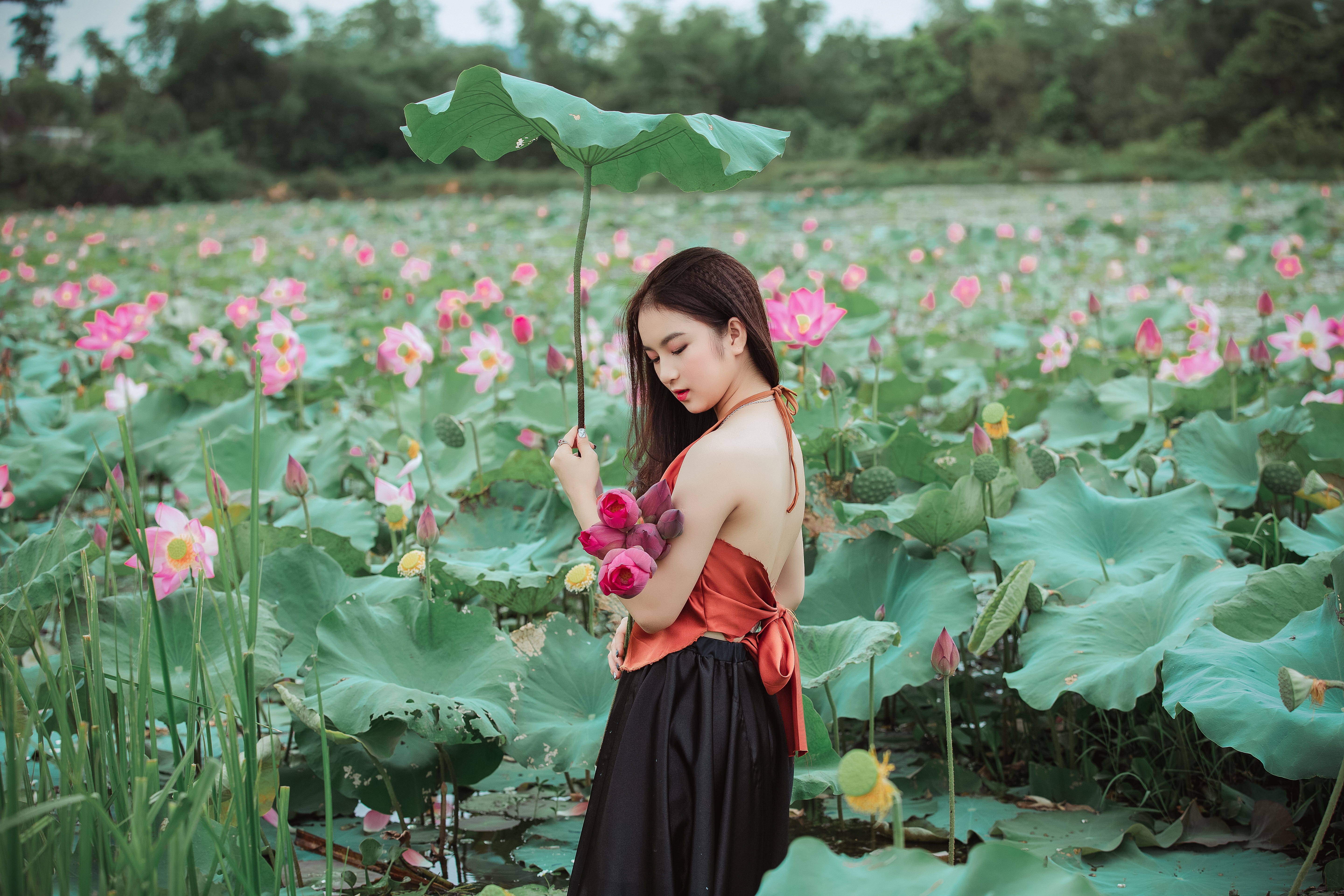 outdoors, hairstyle, woman, nature, pose, growth, one person, freshness, pretty, standing, 5K, beauty in nature, blossom, asian woman, young women, flower, HD Wallpaper