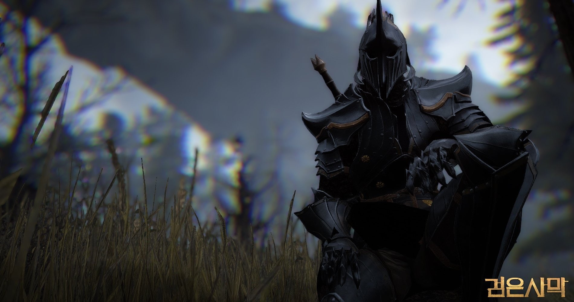 720P, Warrior (Black Desert Online), Black Desert Online, Video Game, HD Wallpaper
