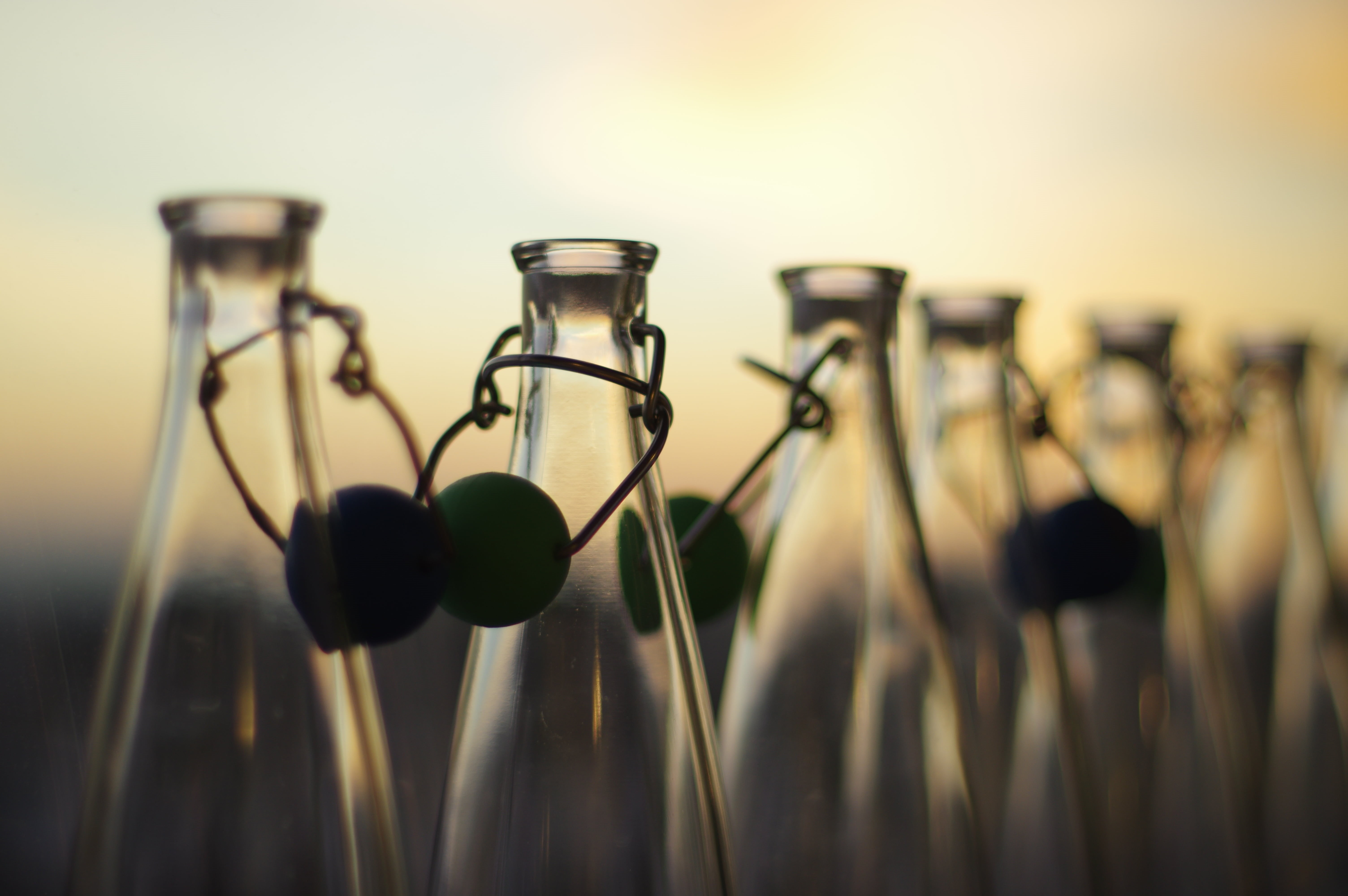 biotechnology, transparency, science, chemistry, scientific Experiment, 5K, bottles, selective focus, skål, biology, research, depth of Field, selective, HD Wallpaper