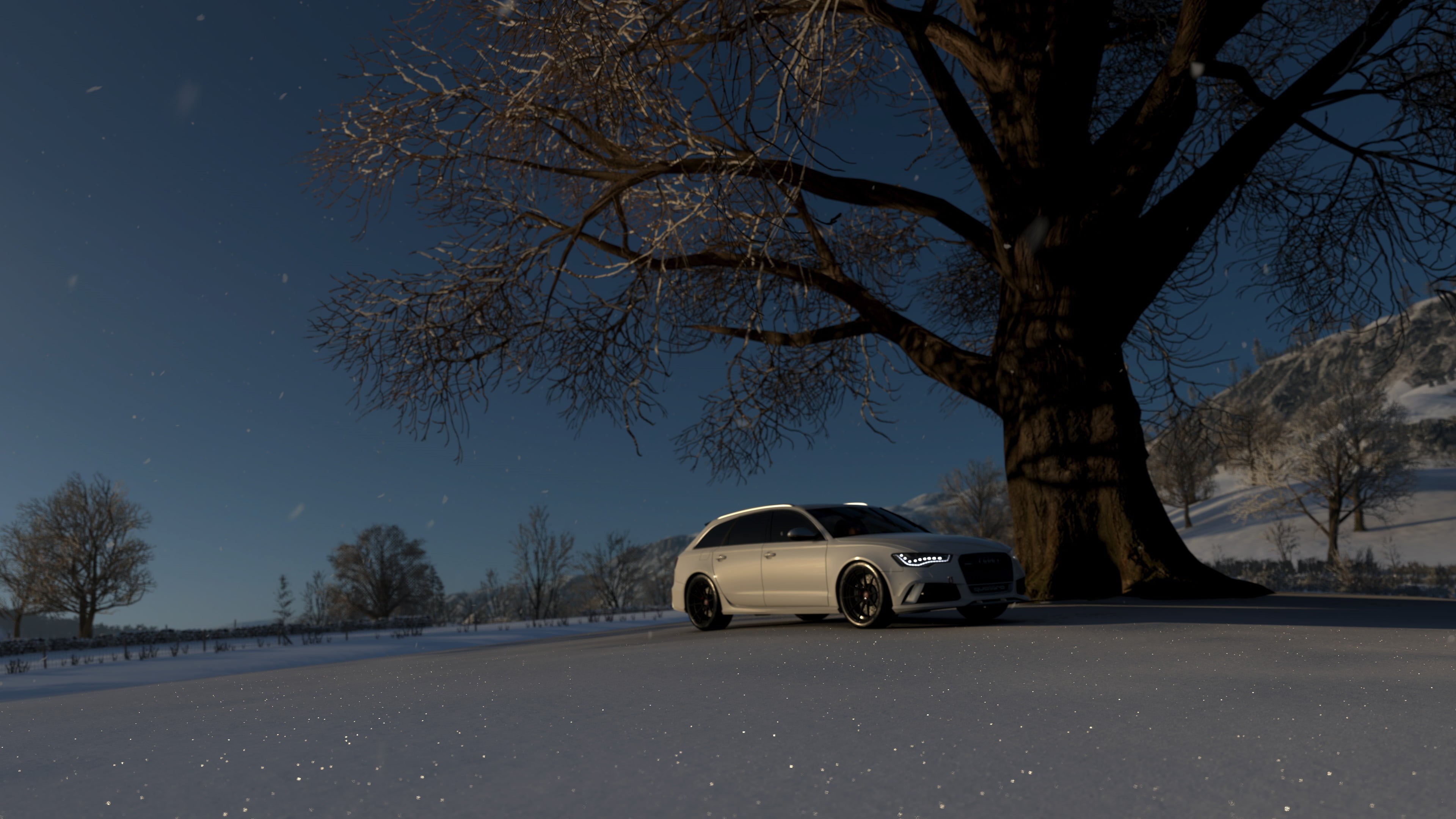 Forza Horizon 4, road, field, tree trunk, motor vehicle, land vehicle, snow, bare tree, screen shot, plant, branch, Forza Games, car, sky, video games, HD Wallpaper