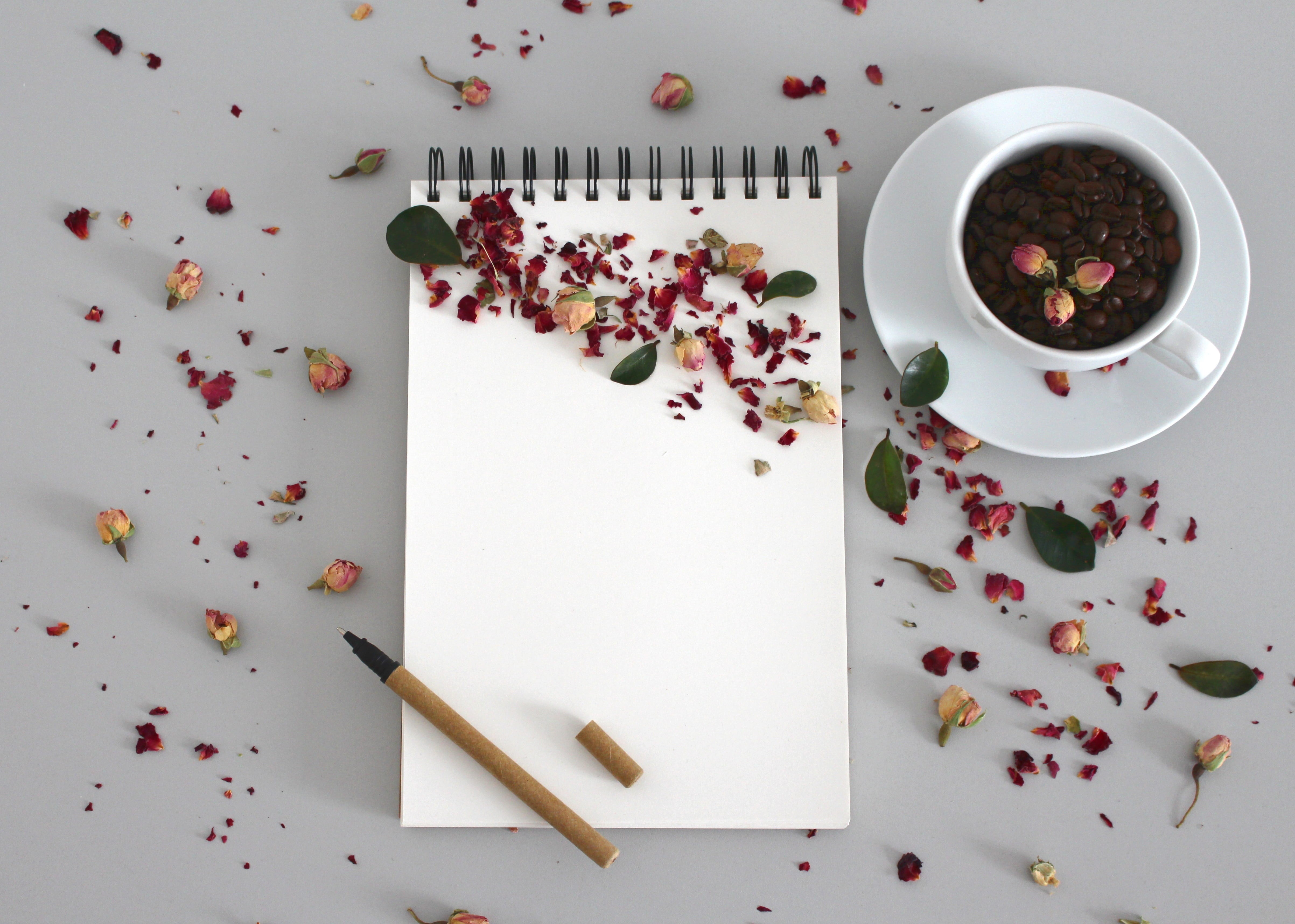 notebook, study, enter, no people, coffee, cup, refreshment, desk, bowl, studio shot, healthy eating, pencil, paper, sketchpad, booklet, kitchen utensil, HD Wallpaper