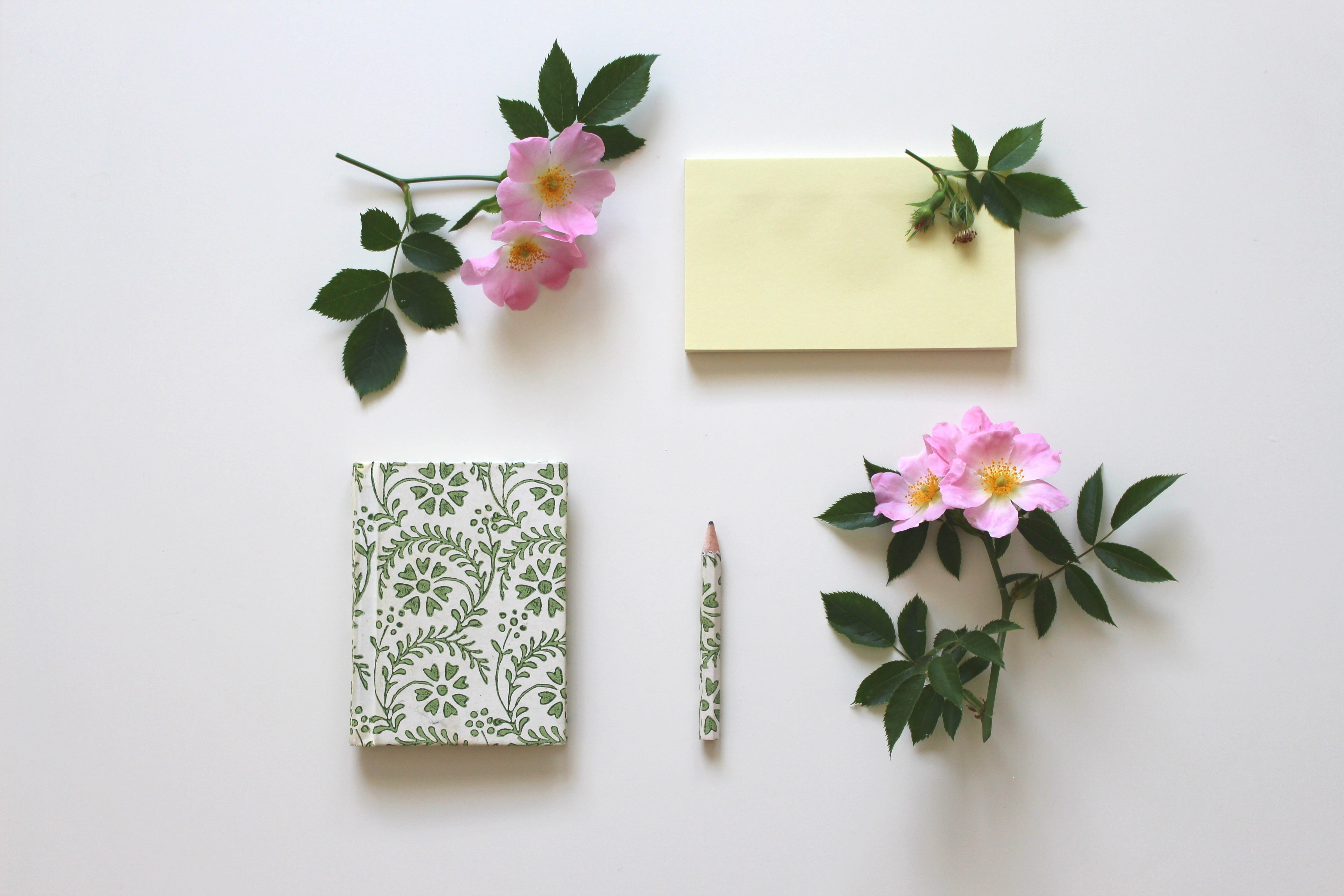table, pink color, enter, paper, purple, 5K, indoors, leaf, booklet, note, book, notepad, bunch of flowers, petaled, embassy, leave, near, notizbiuch, HD Wallpaper