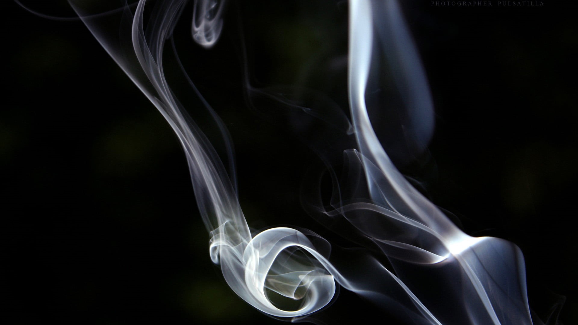 nature, osteoporosis, focus on foreground, graphic, abstract, black, indoors, smoke, vulnerability, pattern, design, anatomical, backache, spinal, no people, HD Wallpaper