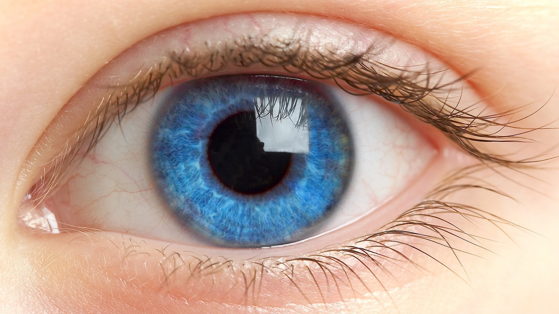 eyes, eyelashes, pupil, 1080P, retina, macro, blue eyes, HD Wallpaper