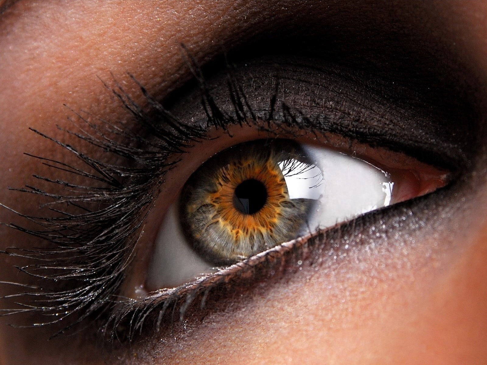 staring, people, eyeball, girl, eyeshadow, human Skin, black, caucasian Ethnicity, studio Shot, human body part, part Of, human Face, young Adult, looking At Camera, HD Wallpaper