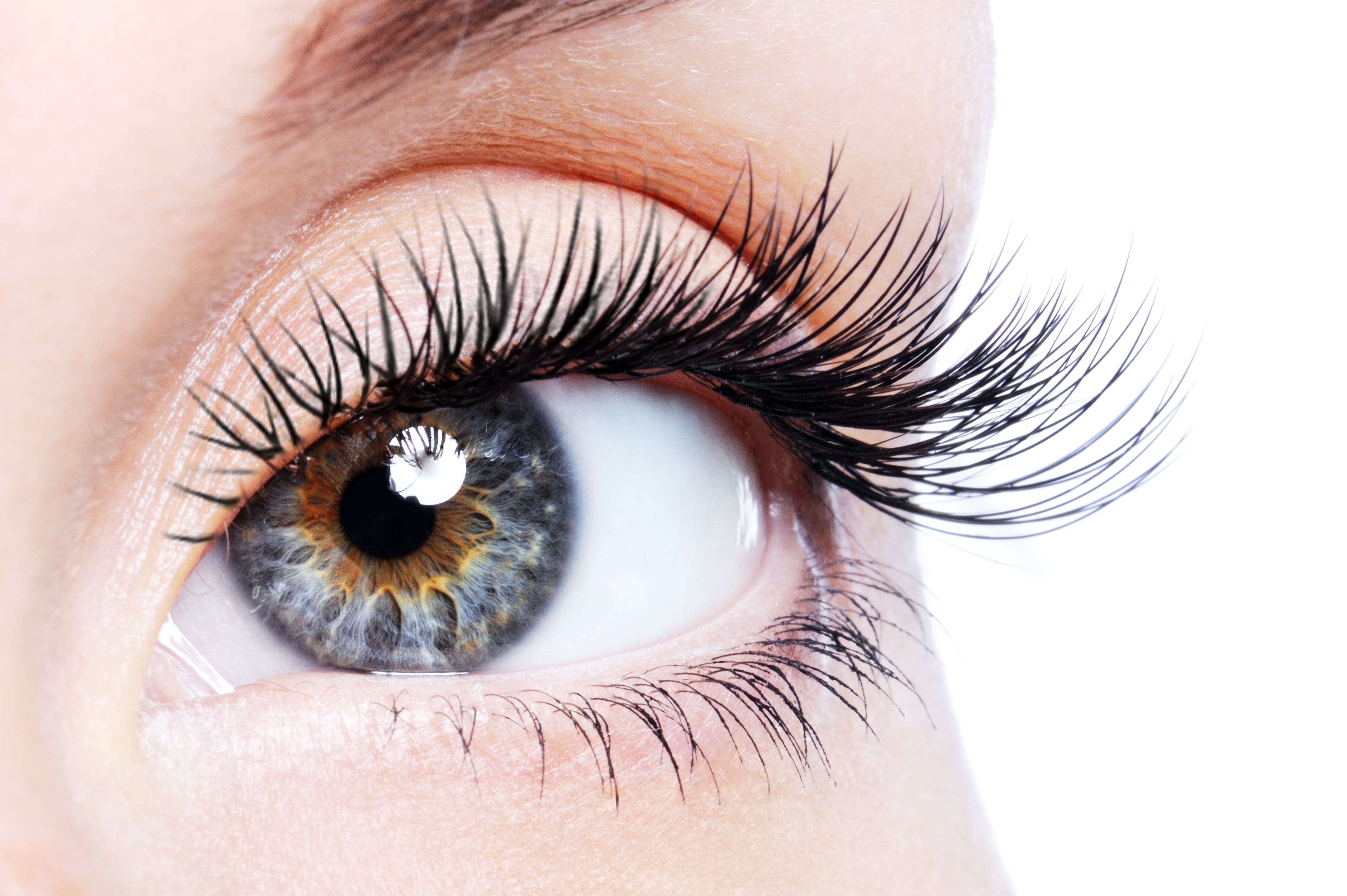mascara, young Adult, eyesight, eye, caucasian Ethnicity, blue Eyes, white, human Skin, pupil, beauty Product, eyeshadow, studio Shot, body part, females, HD Wallpaper