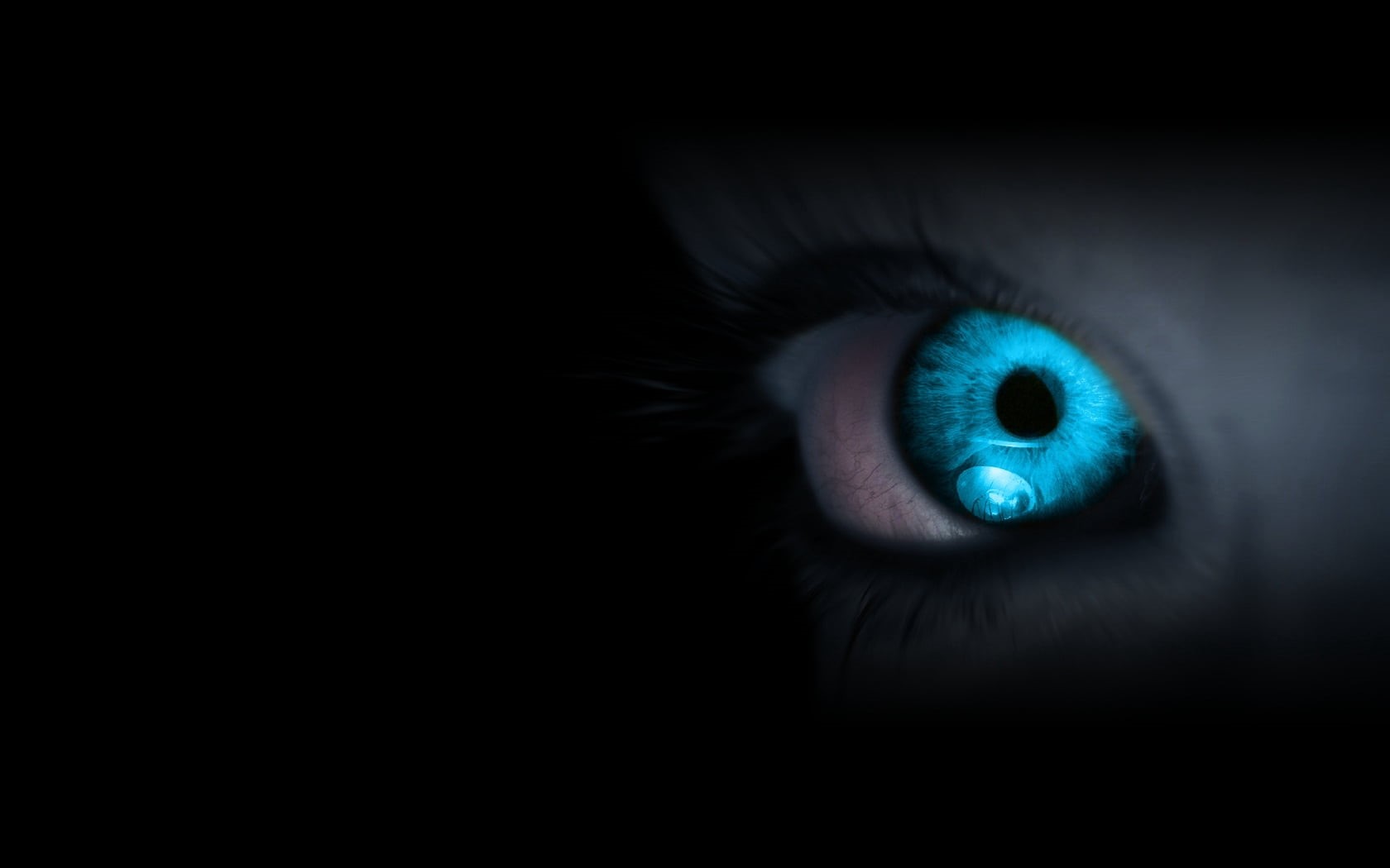 multi Colored, close-up, macro, eyeball, person, s, adult, color Image, eye, eyesight, fear, black Color, nature, beautiful woman, beauty, eyelash, people, HD Wallpaper