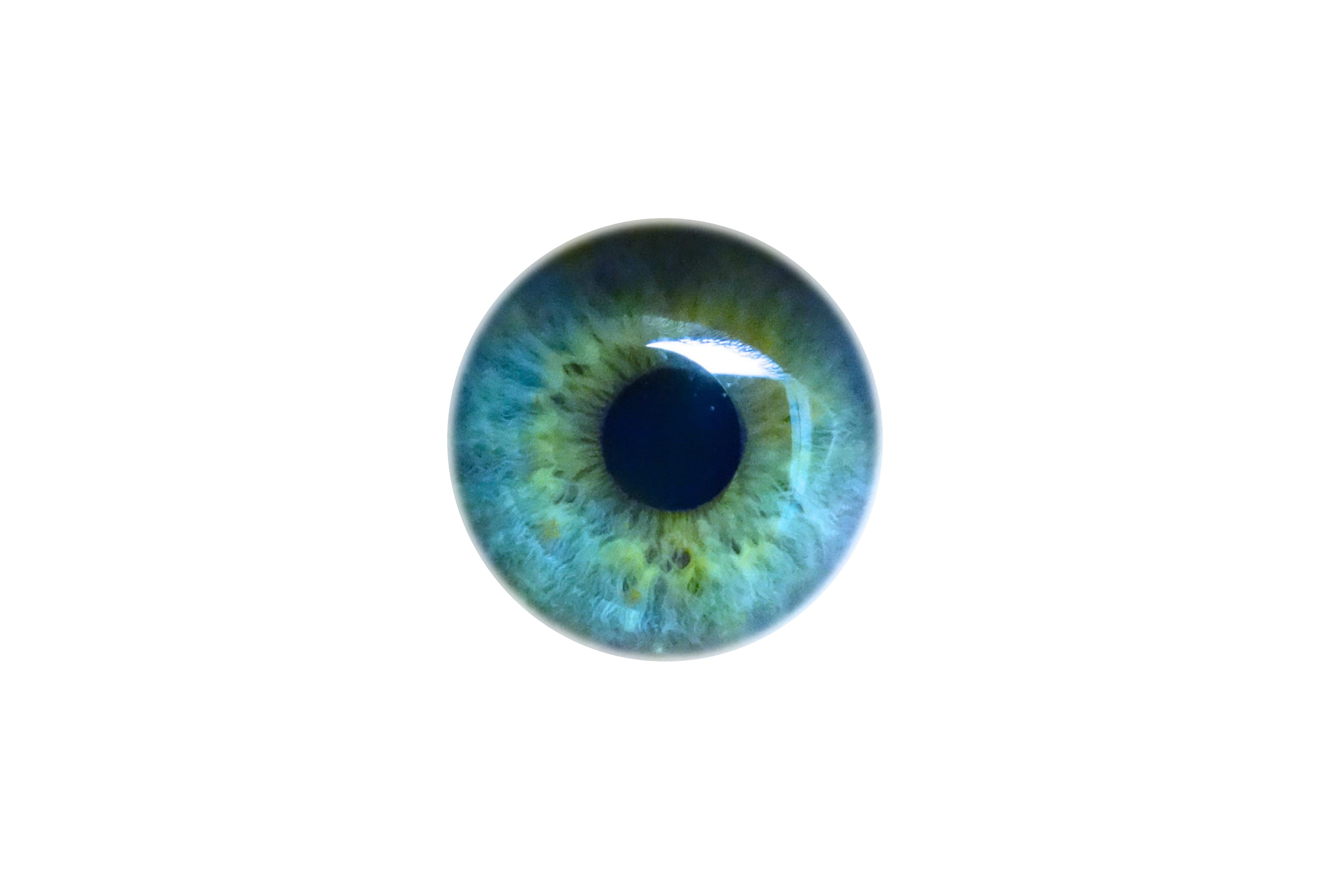 copy space, close-up, studio shot, people, body part, close, human eye, single object, blue eyes, sensory perception, white background, extreme close-up, HD Wallpaper
