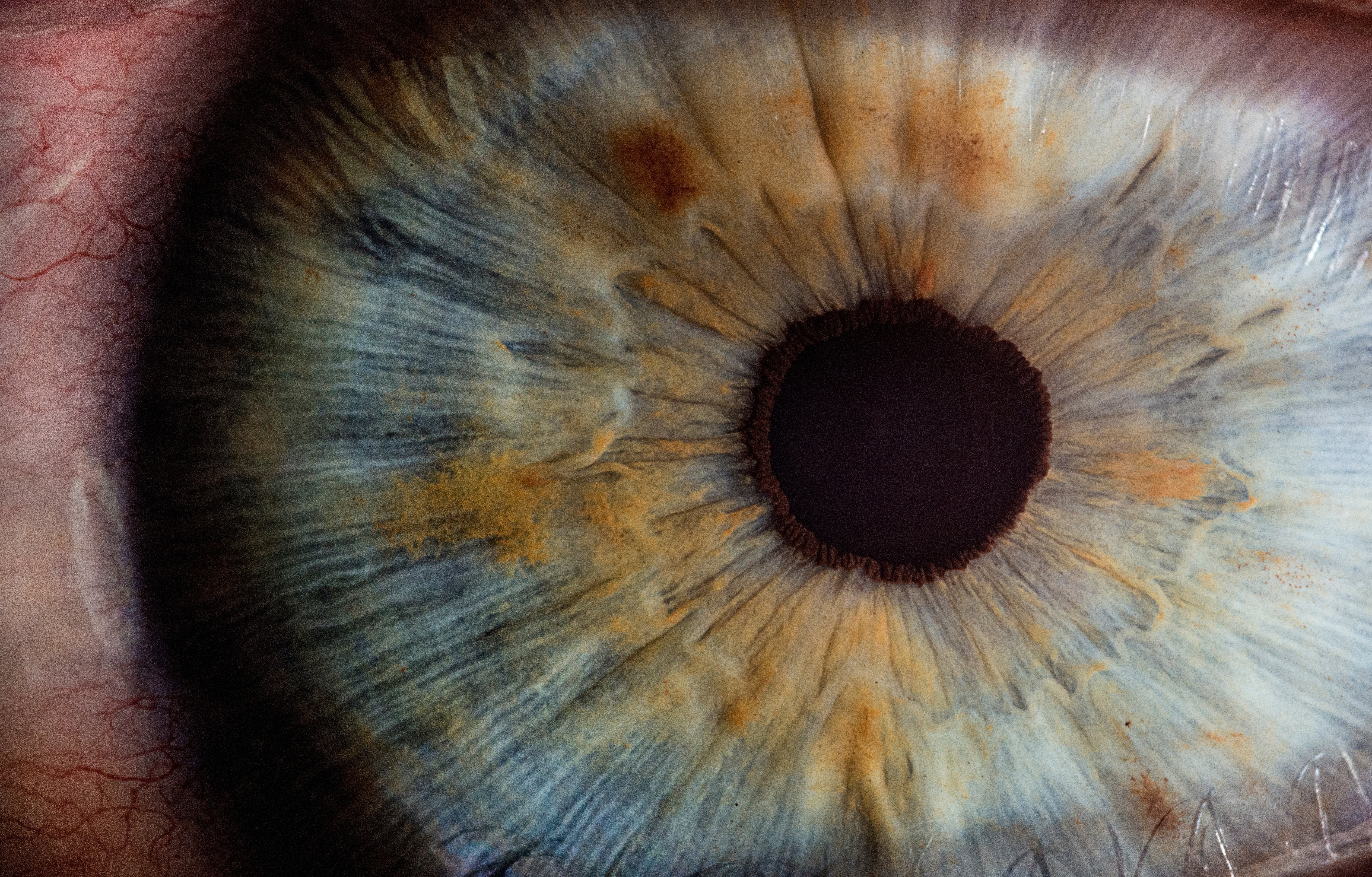 curve, iris - eye, eye, human eye, old, full frame, human, eyesight, close-up, human body part, extreme close-up, eyelid, eyelash, pattern, eyeball, nature, HD Wallpaper