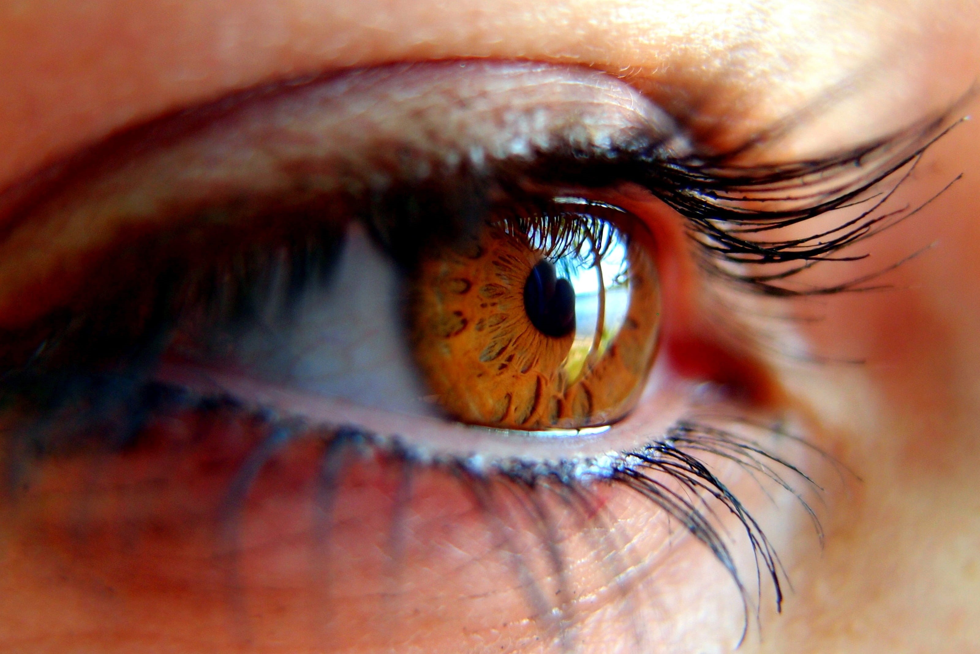 looking, sensory perception, iris - eye, beautiful woman, young adult, one person, eyelid, human body part, women, 2K, eyelash, human face, body part, HD Wallpaper