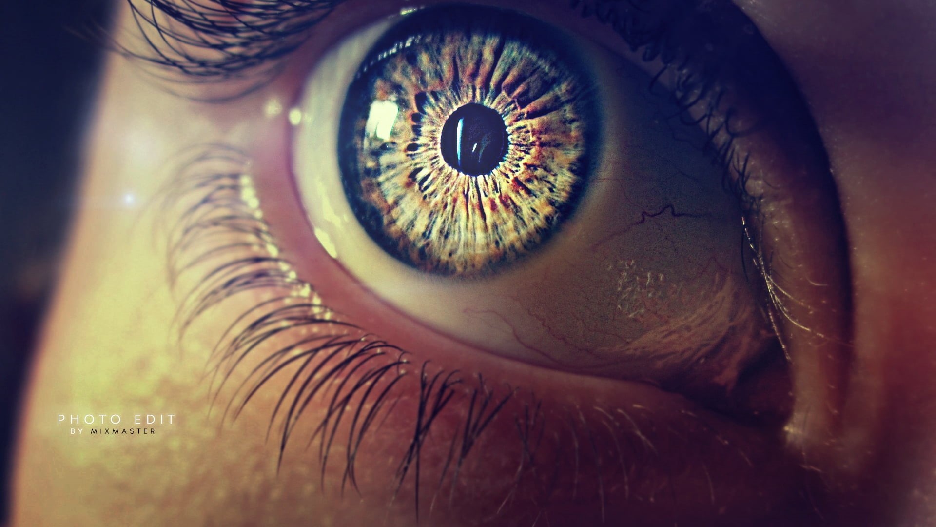 ideas, eyelid, females, aquula, unrecognizable person, lens - Optical Instrument, watching, caucasian Ethnicity, body part, eyelash, beautiful, indoors, HD Wallpaper