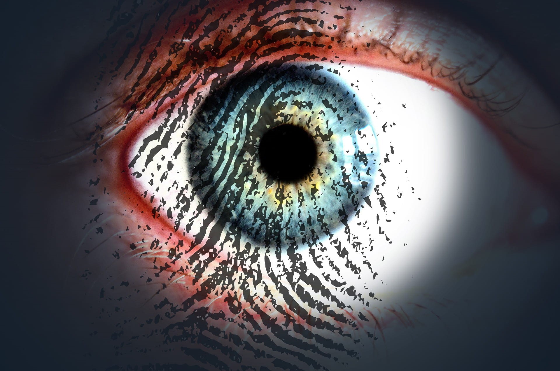 personality rights, symbol, closeup, full frame, photo, human body part, it grundschutz, sensory perception, eye, flexibility, threat, data retention, sensitive data, HD Wallpaper
