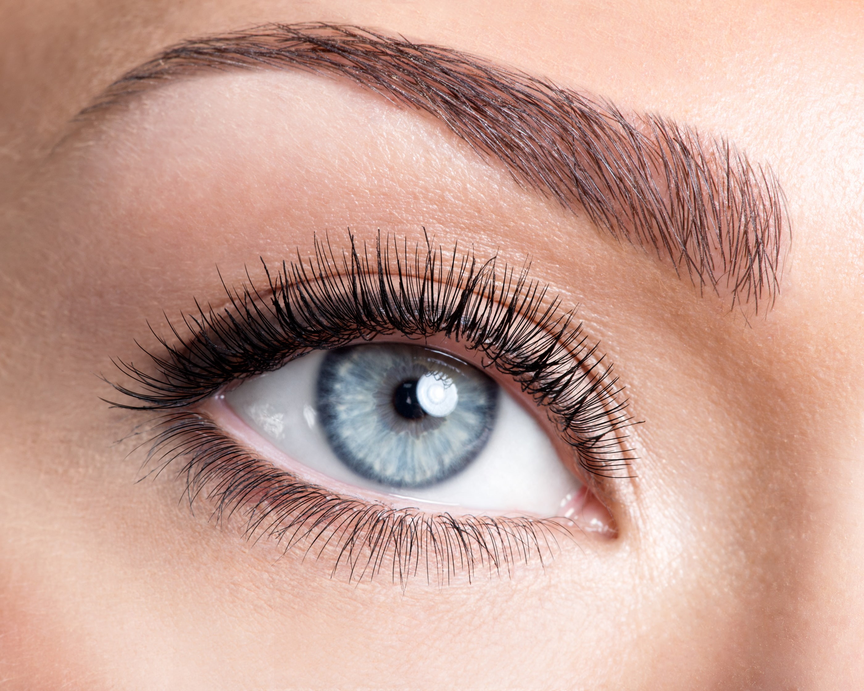 2K, eye, pupil, blue, eyebrows, HD Wallpaper