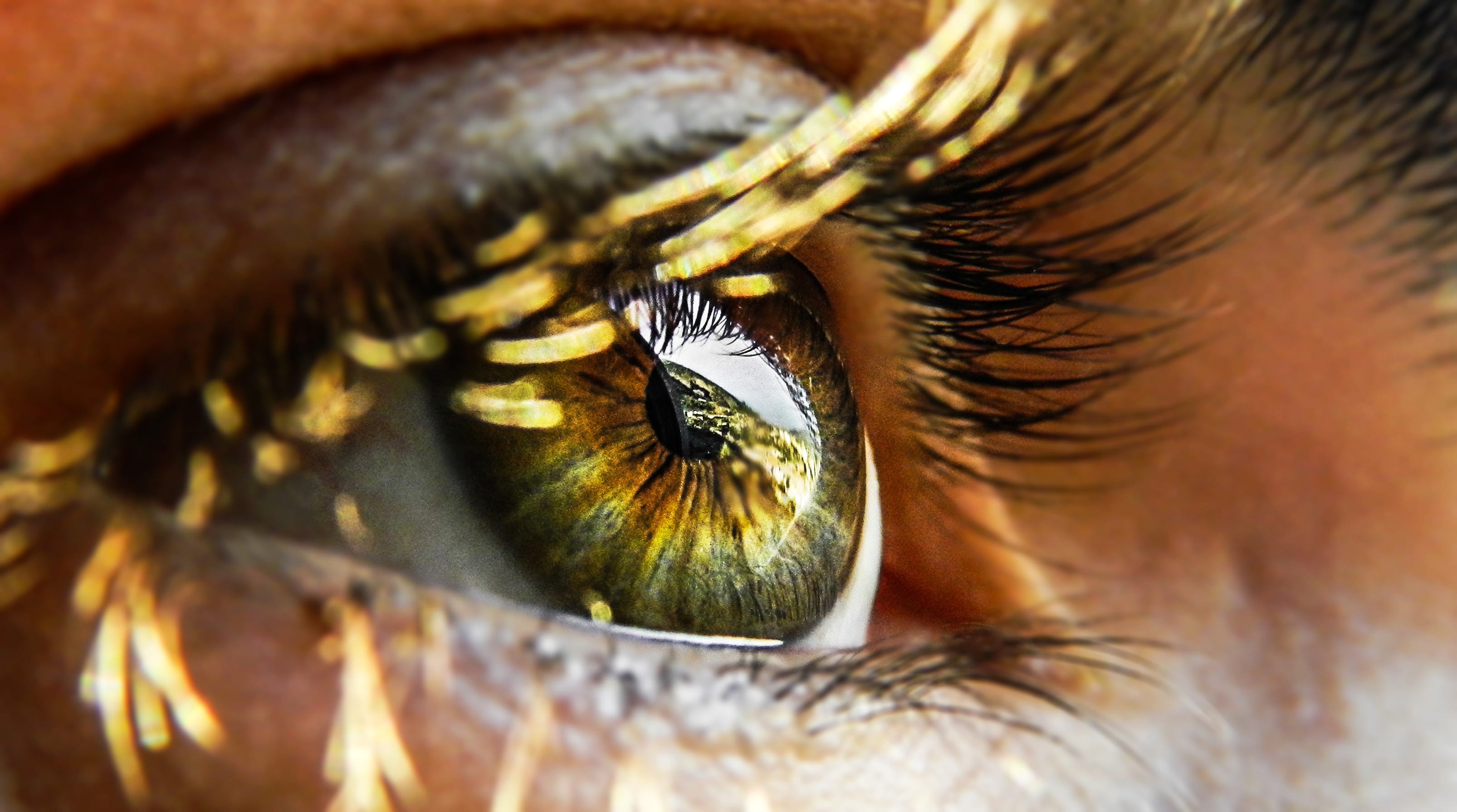 photos, beauty, 2K, iris - Eye, real people, macro, reflection, one Person, eyelash, eye, green, women, eyes, human body part, Open, sensory perception, HD Wallpaper