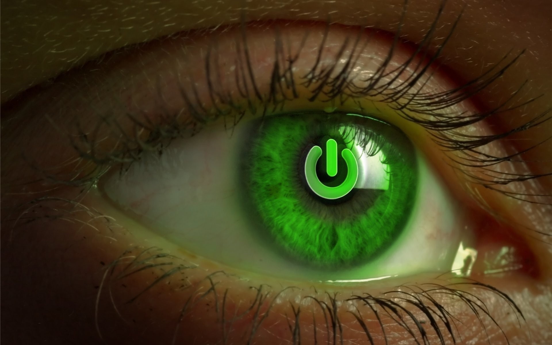eyes, 1080P, human eye, eyelash, extreme close-up, eye, human body part, green eyes, human face, eyesight, eyebrow, sensory perception, eyeball, adult, HD Wallpaper