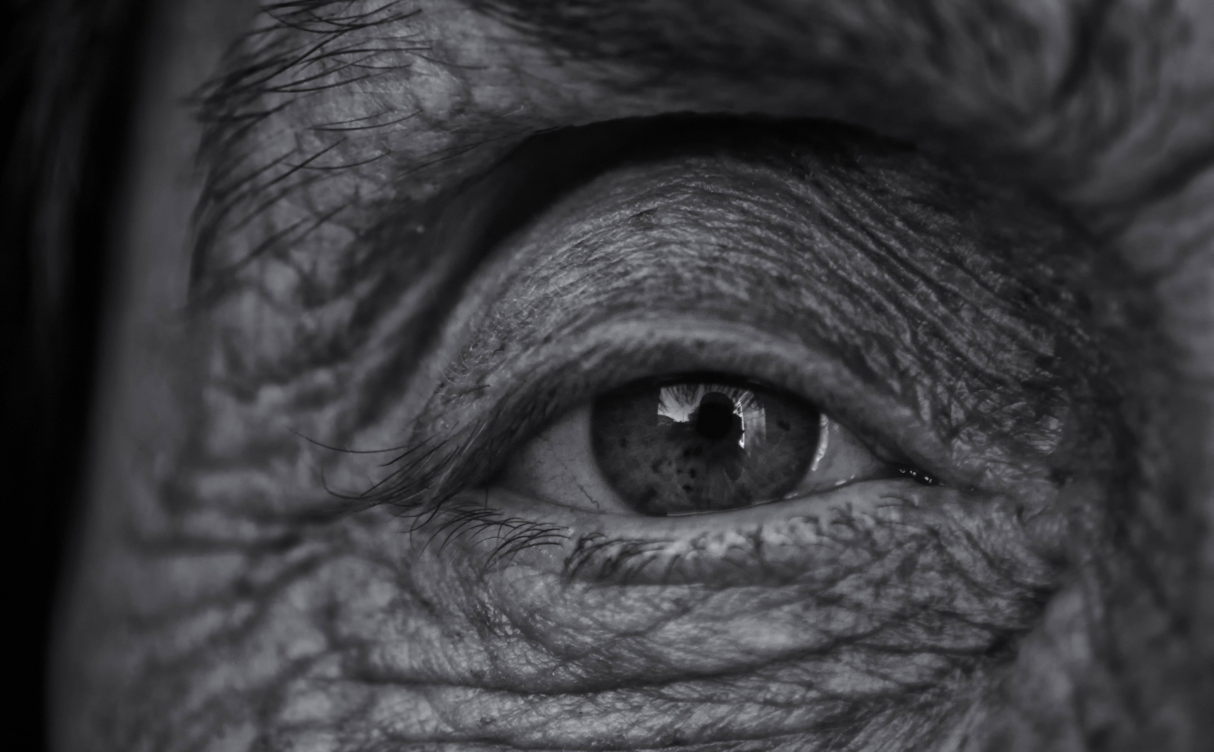 human body part, eyeball, one person, eyelid, real people, women, old, 5K, human skin, human eye, human face, eyesight, portrait, focus on foreground, HD Wallpaper