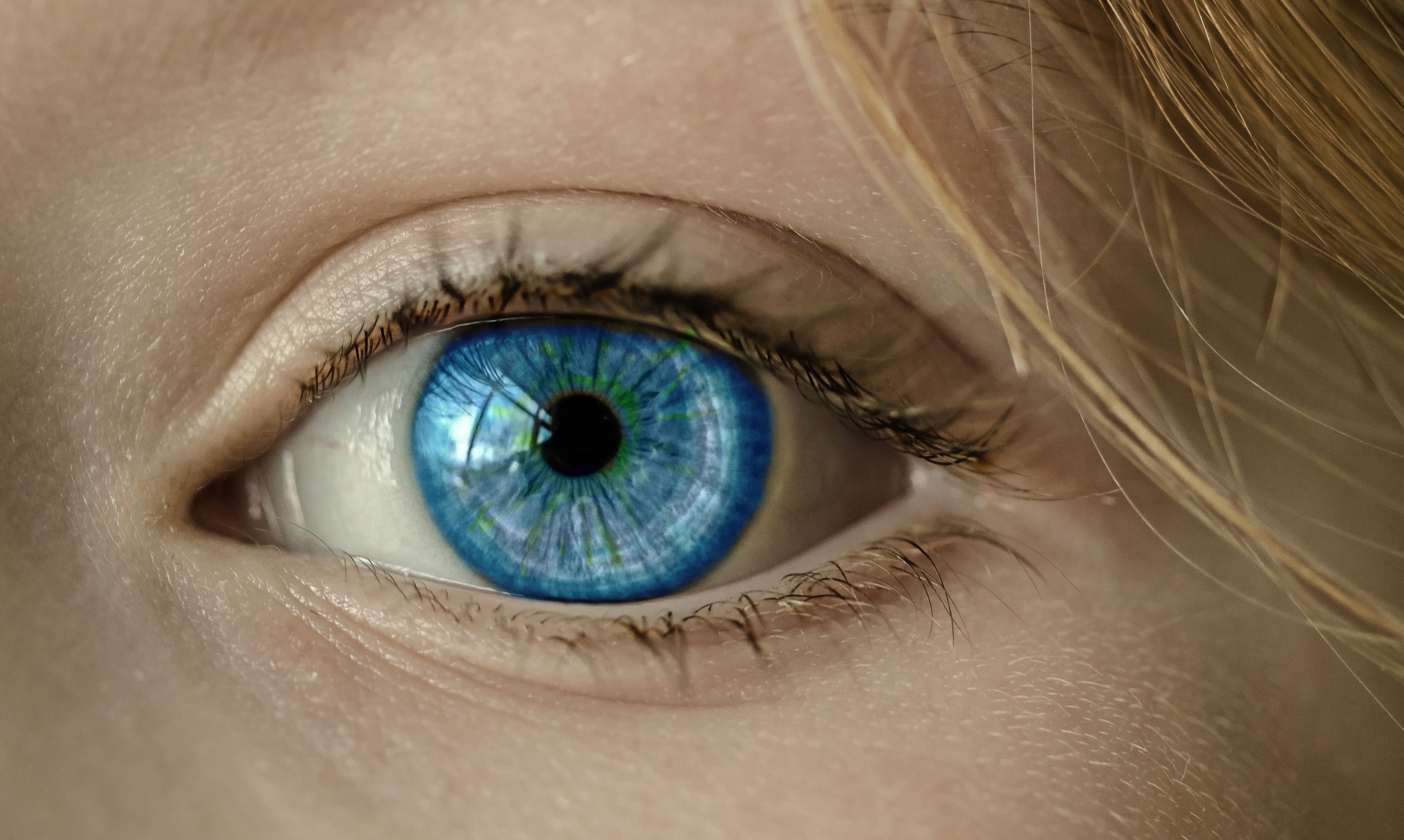 eyeball, body part, human eye, women, looking at camera, human body part, eyelid, human face, blue eyes, one person, adult, extreme close-up, eyebrow, iris - eye, HD Wallpaper
