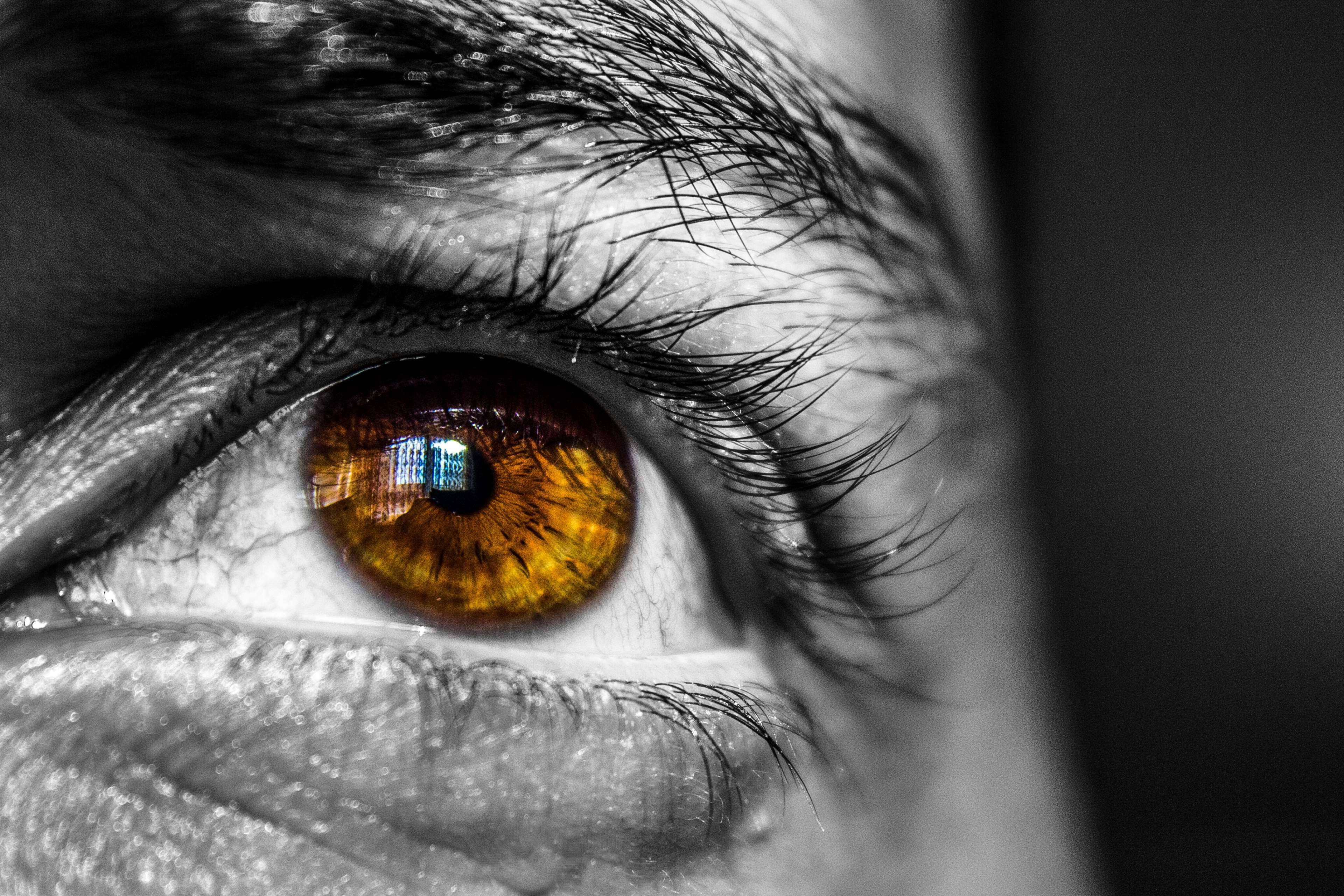human body part, sensory perception, eyesight, face, contemplation, close-up, portrait, eyelash, eye, iris - eye, eyebrow, isolated color, eyeball, looking at camera, HD Wallpaper