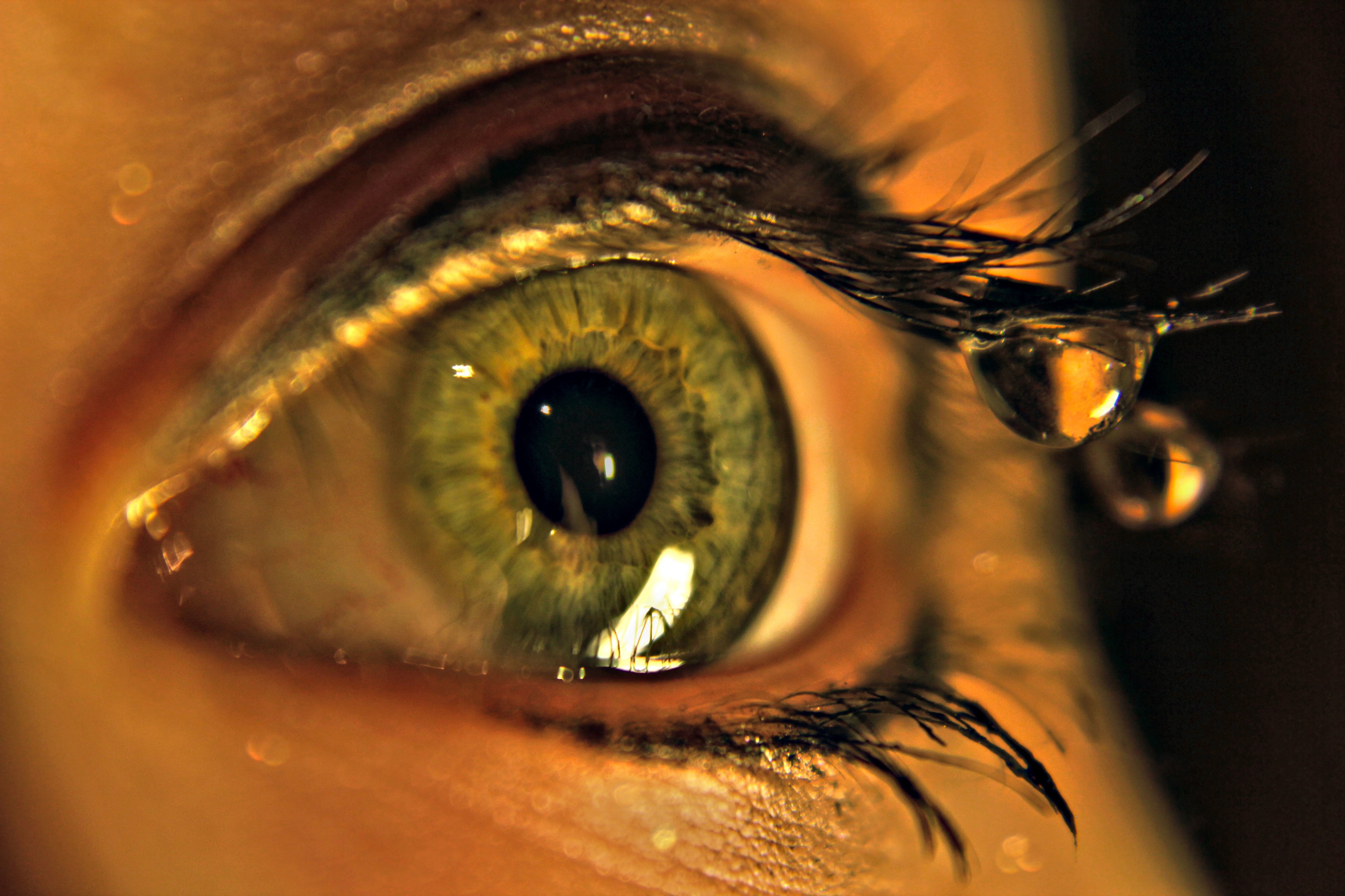 looking away, eyeball, close-up, macro, one person, human, eyelashes, human Eye, beautiful woman, body part, people, human Face, extreme close-up, gold Colored, HD Wallpaper