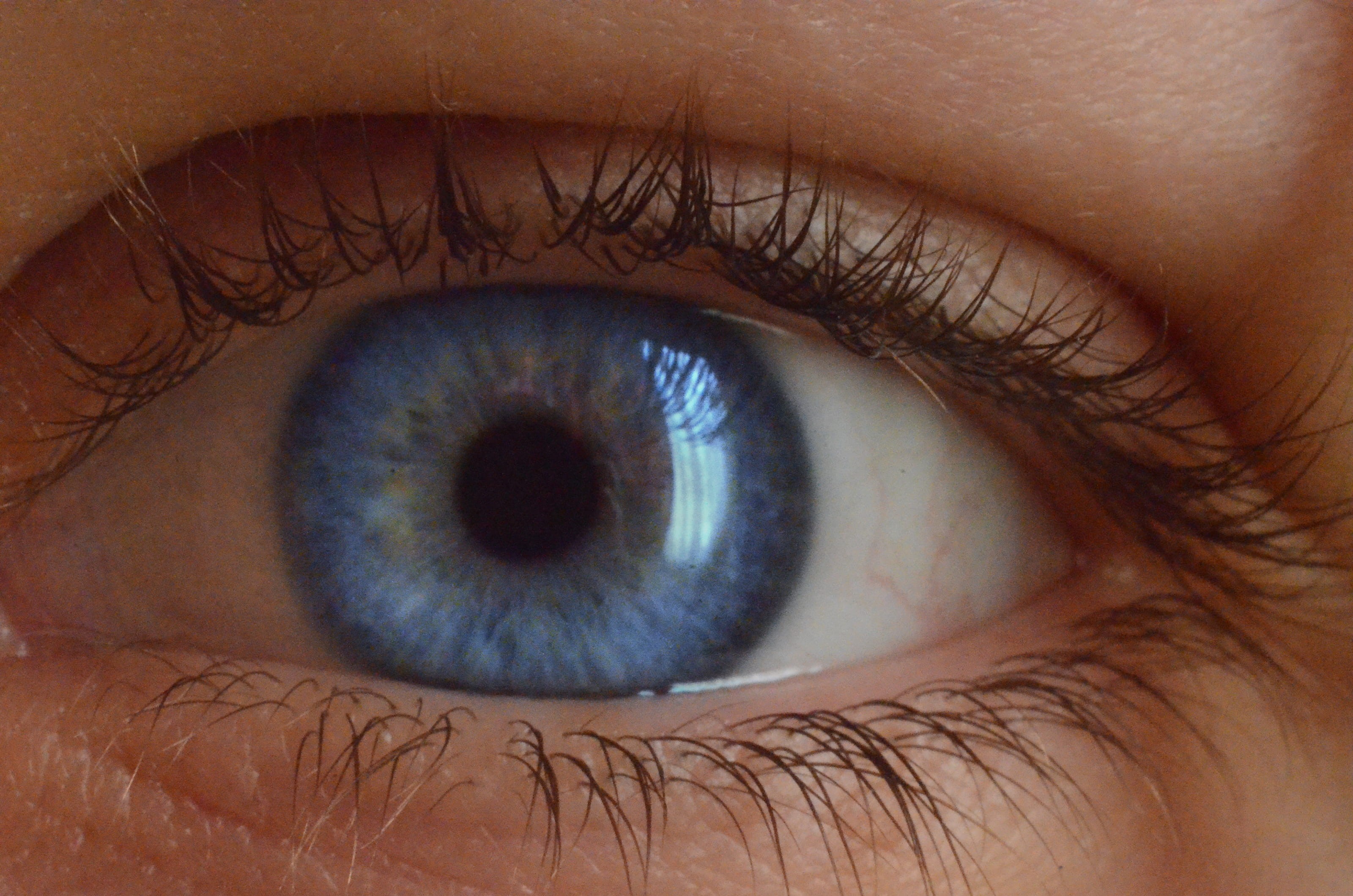 real people, blue, macro, teenager, electronics, iris - eye, eyebrow, person, closeup, body part, eyelid, contact lens, see, wood, extreme close-up, human face, HD Wallpaper