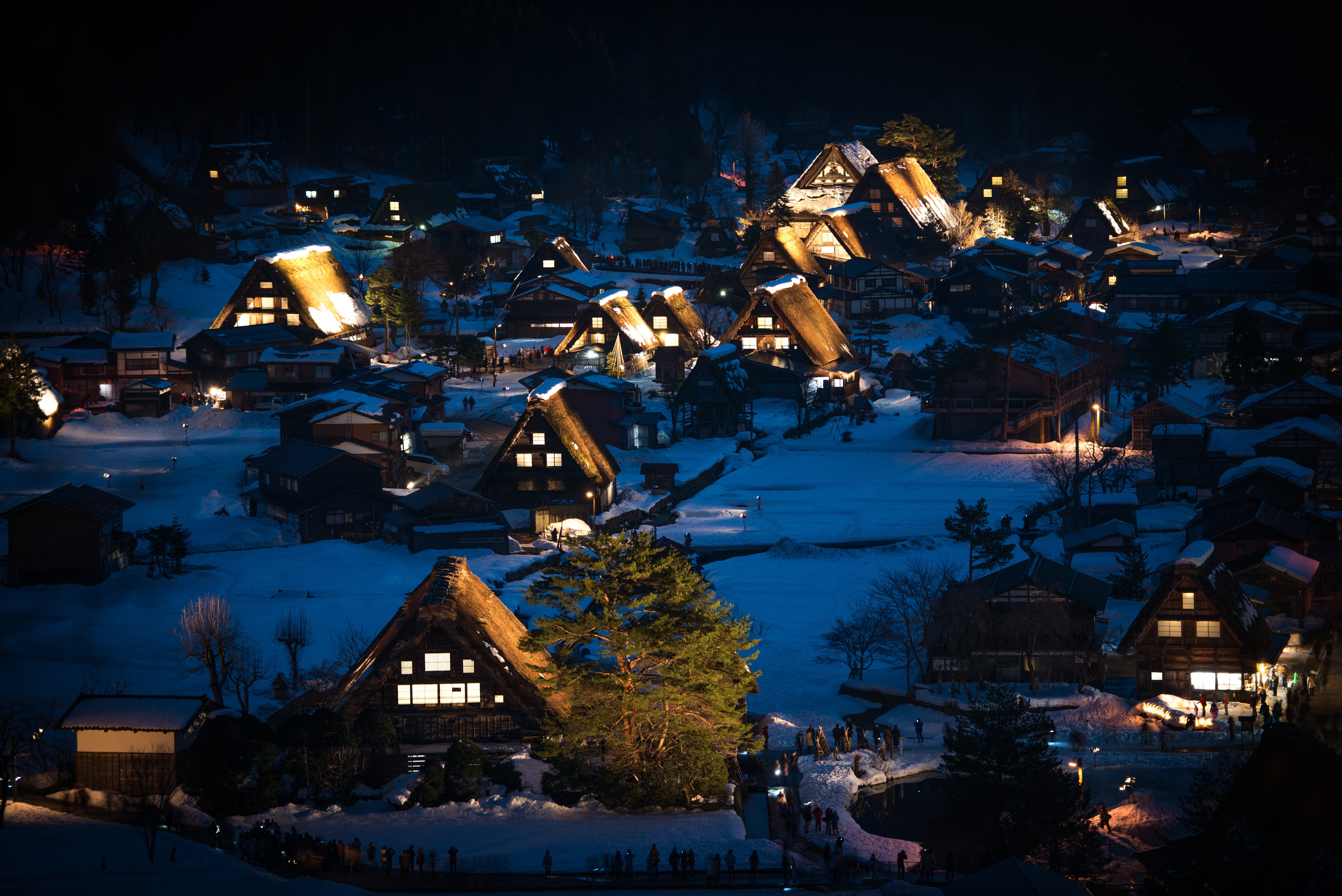 japan, high angle view, tree, snow, nature, illuminated, built structure, shirakawago, plant, building exterior, building, authentic, japanese, outdoors, HD Wallpaper