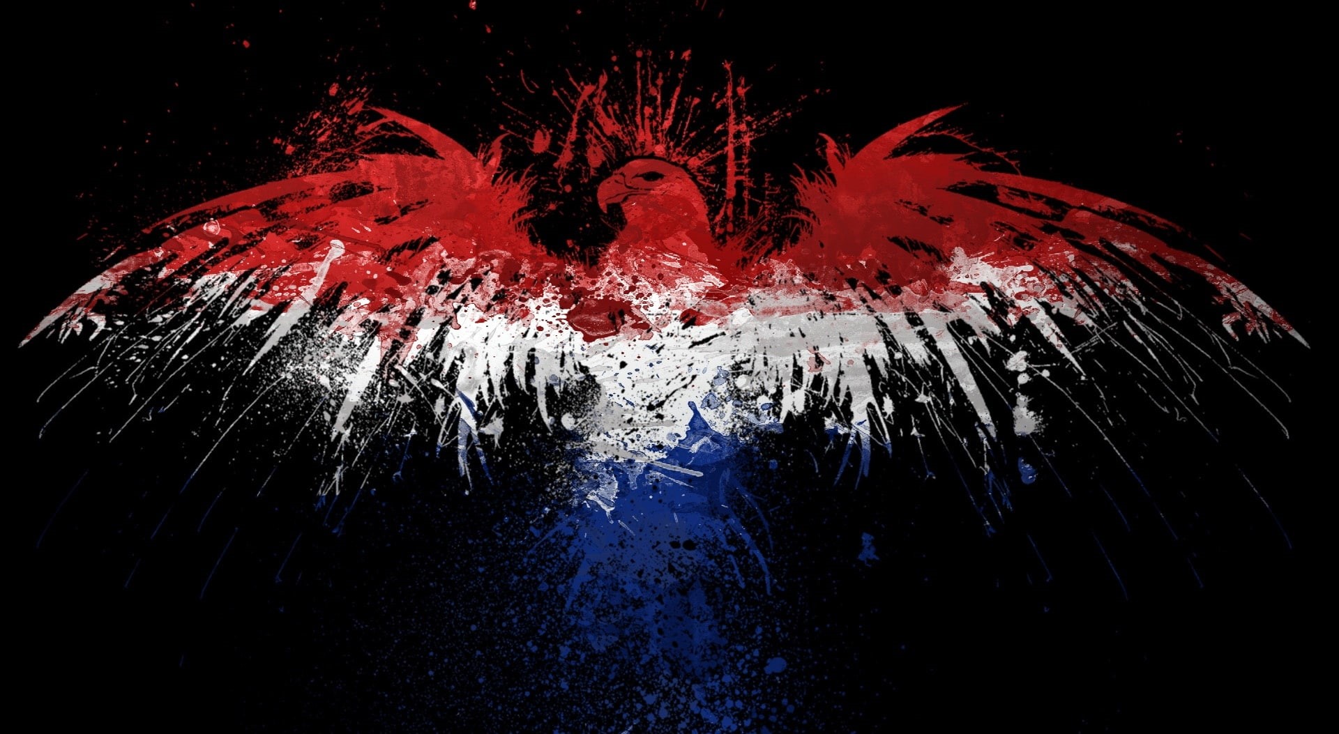 indoors, nederlands, black background, 1080P, adelaar, blue, abstract, water, fragility, exploding, splashing, vlag, illuminated, bird, eagle, pattern, HD Wallpaper