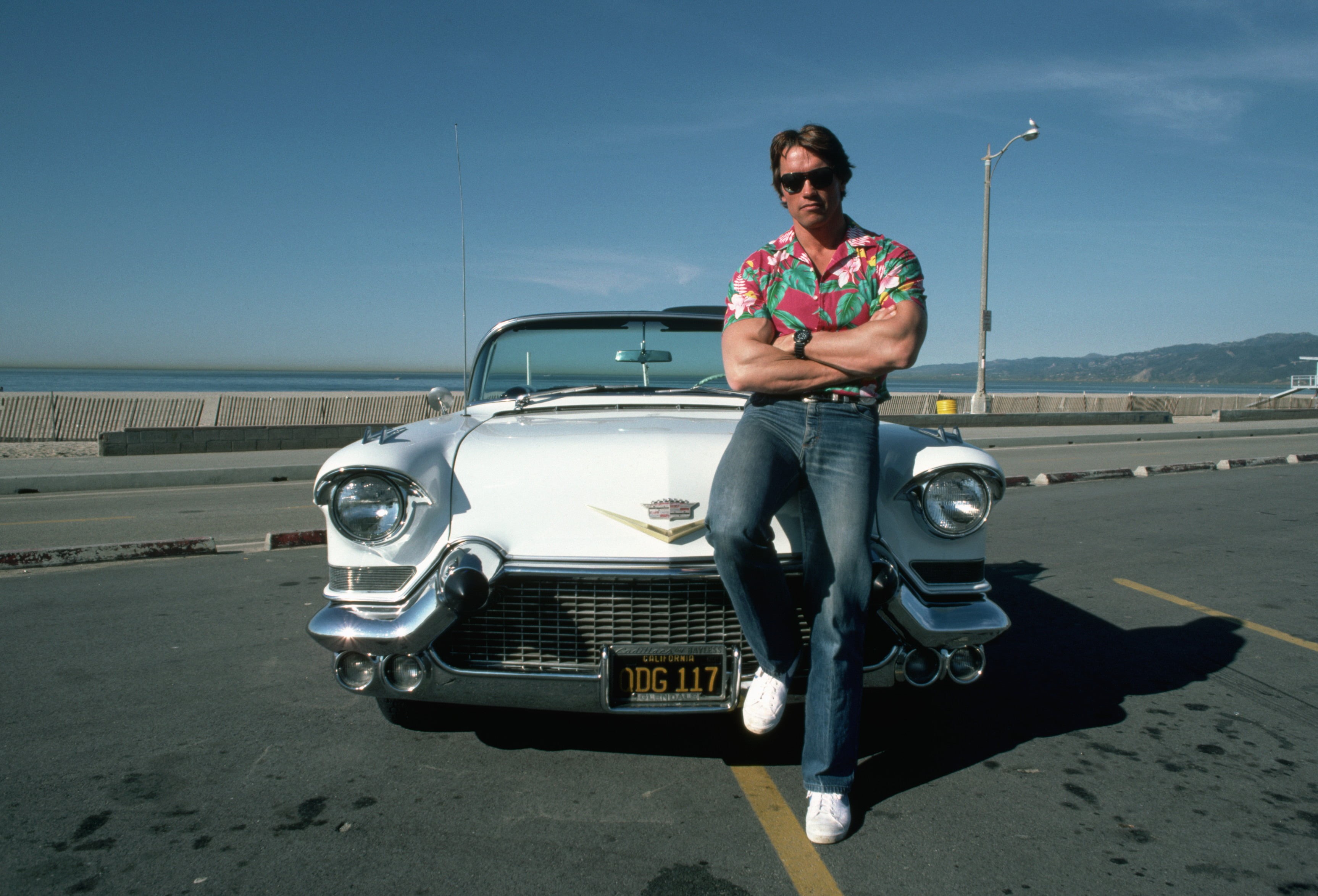 young Women, arnold schwarzenegger, motor vehicle, color Image, road Trip, vacations, transportation, shirt, button, day, adult, s, smiling, retro Styled, HD Wallpaper