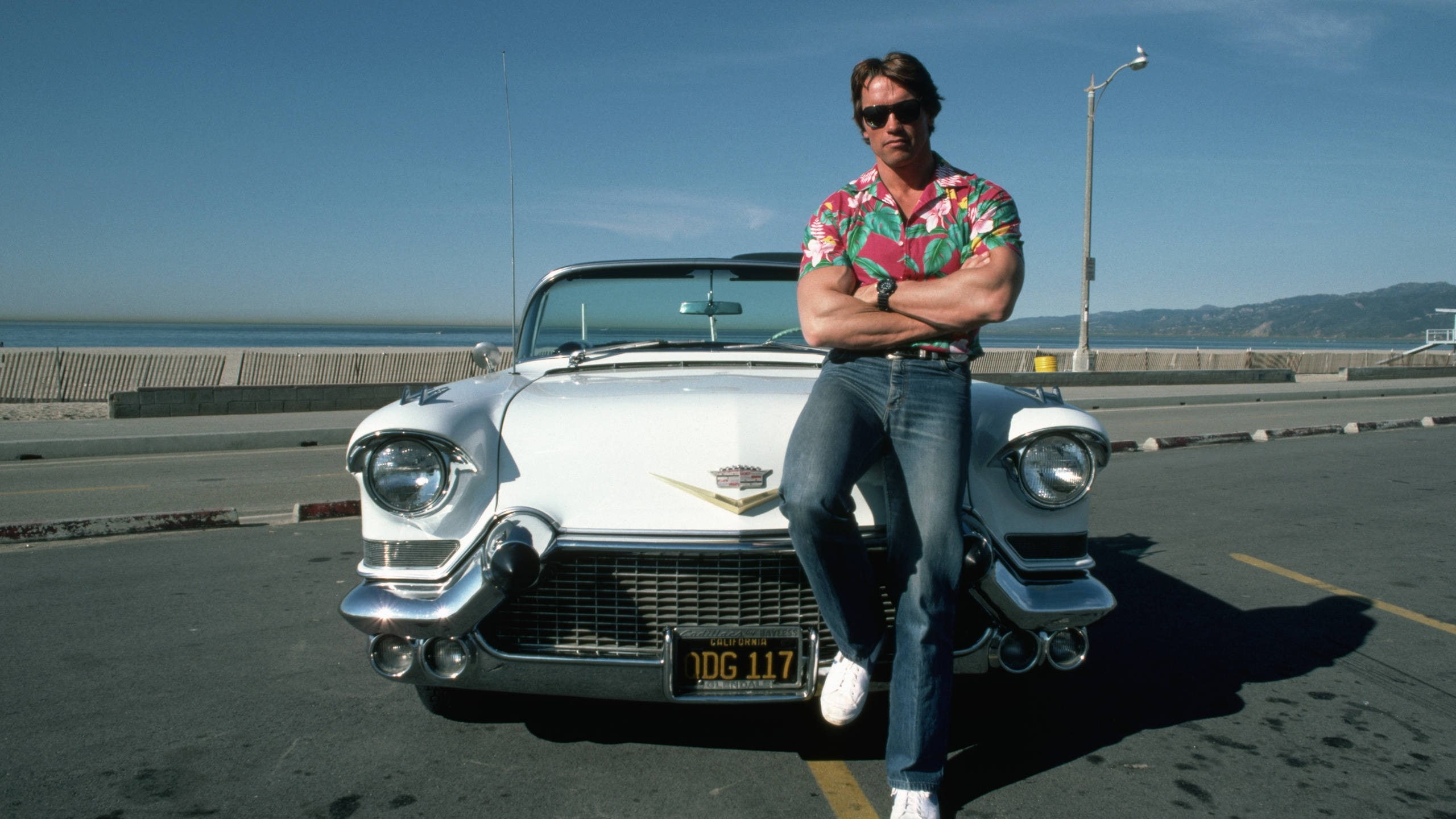 terminator, schwarzenegger, hollywood, 2K, arnold, arnold schwarzenegger, cadillac, HD Wallpaper