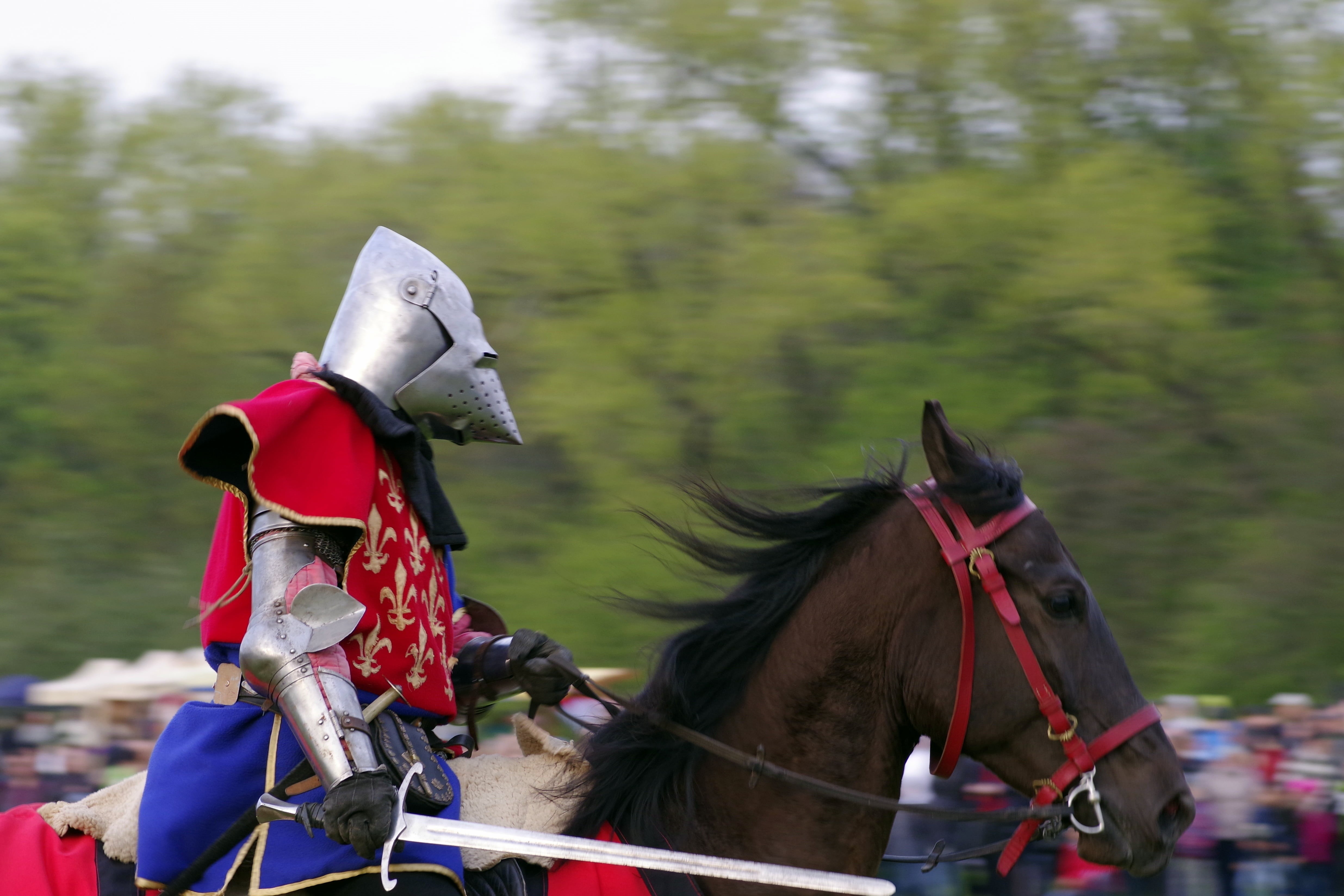 domestic, mounted, animal, tree, settlement, helmet, history, shield, adorned with metal, knight, herbivorous, the middle ages, transportation, animal wildlife, HD Wallpaper