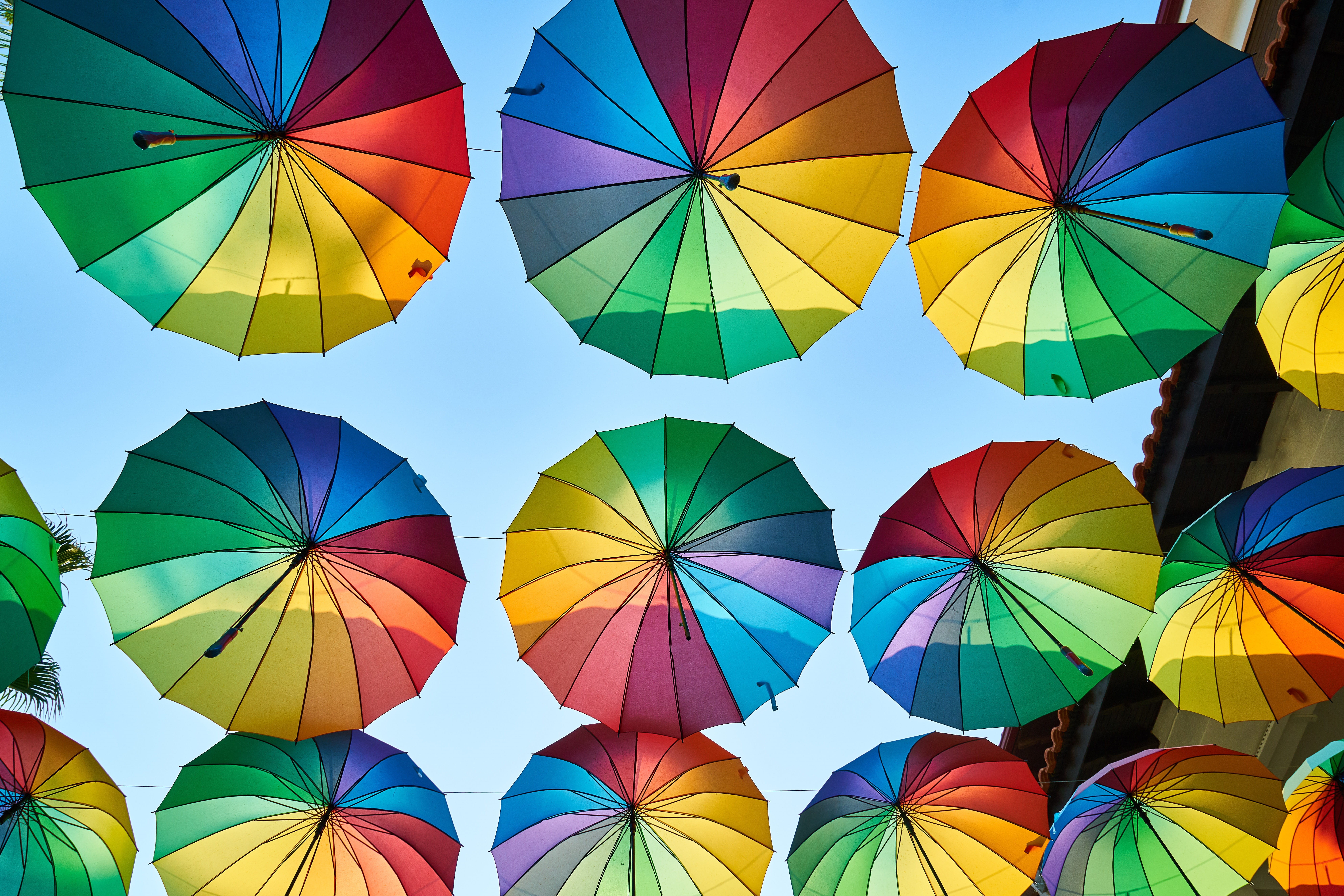 art, style, colors, shape, decor, street, colorful, variation, full frame, canopy, composition, design, rain, multi colored, day, 8K, background, decoration, HD Wallpaper