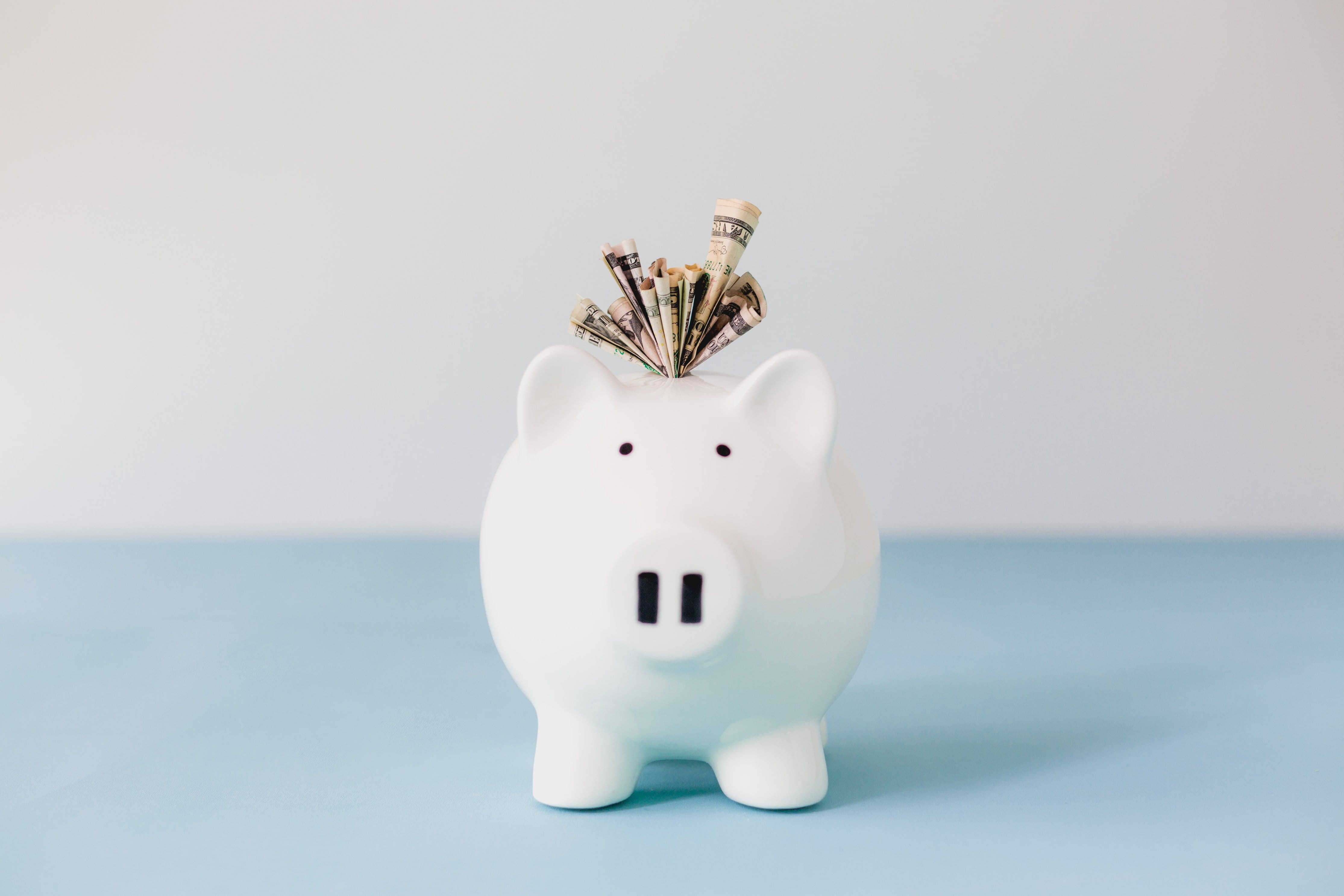 business, photo, figurine, wealth, savings, banking, investment, animal, Money, animal representation, studio shot, Bank, dollar sign, 4K, single object, HD Wallpaper