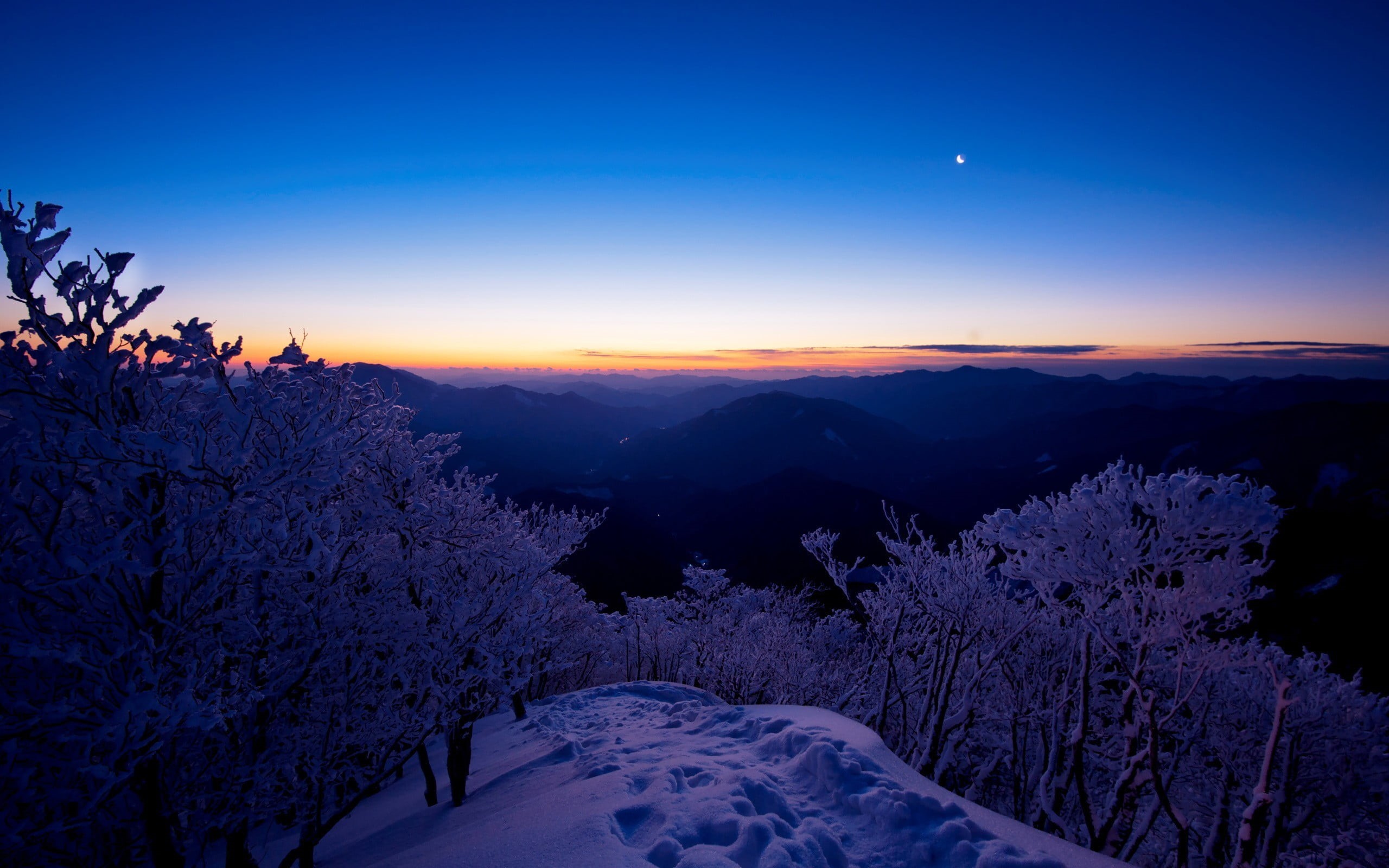 tranquil scene, environment, sky, tree, plant, trees, beauty in nature, mountain, astronomy, night, winter, nature, 2K, scenics - nature, snowcapped mountain, HD Wallpaper