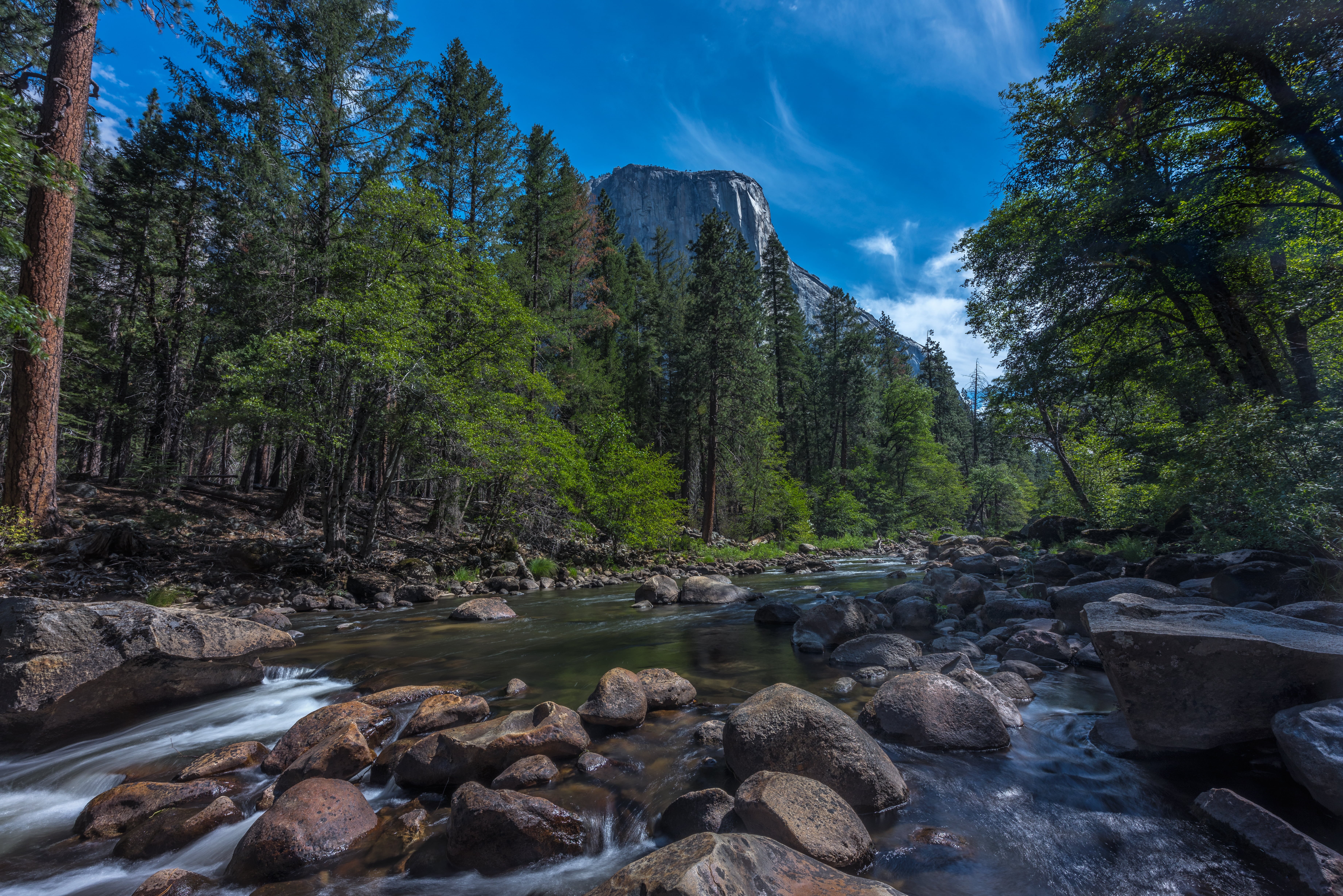 5K, merced, time, california, Yosemite National Park, day, national, long exposure, tree, outdoors, park, green forest, trees, nature, landscape, water, HD Wallpaper