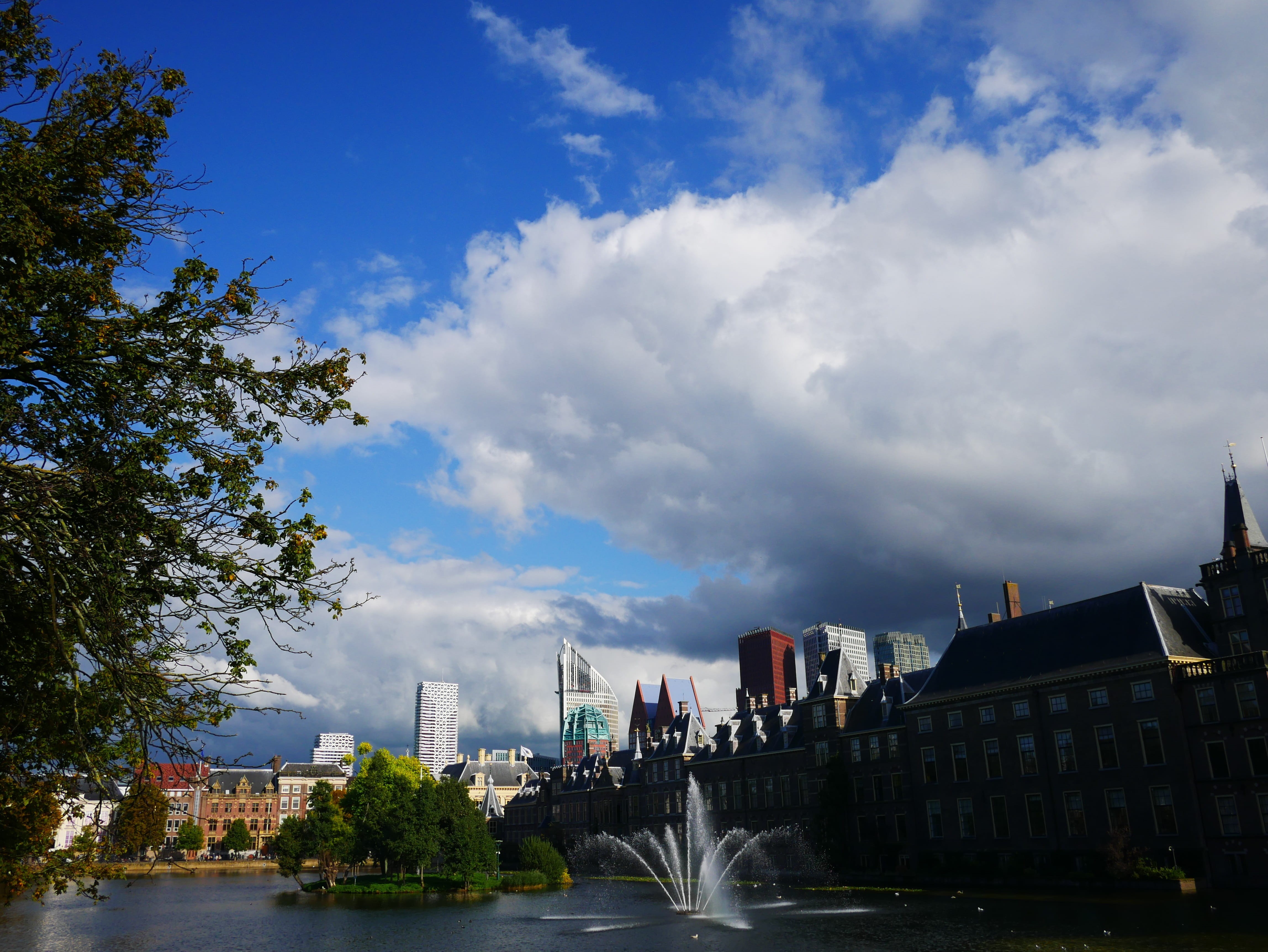 no people, day, cloud - sky, river, nature, outdoors, Cashier, built structure, Skyline, tree, office building exterior, building, building exterior, plant, HD Wallpaper