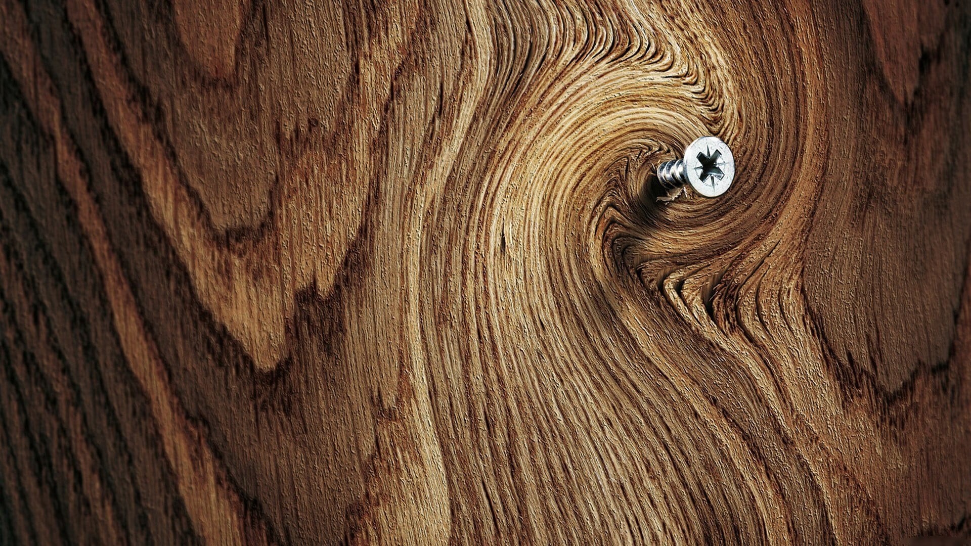 tree trunk, simplicity, rough, tree, ornate, plank, full frame, plant, 1080P, close-up, hardwood, wood, philip, backdrop, no People, brown, copy space, HD Wallpaper