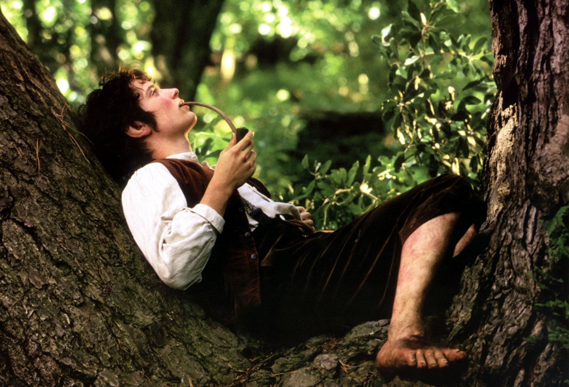 Frodo Baggins, The Lord of the Rings, The Lord of the Rings: The Fellowship of the Ring, Elijah Wood, 1080P, HD Wallpaper